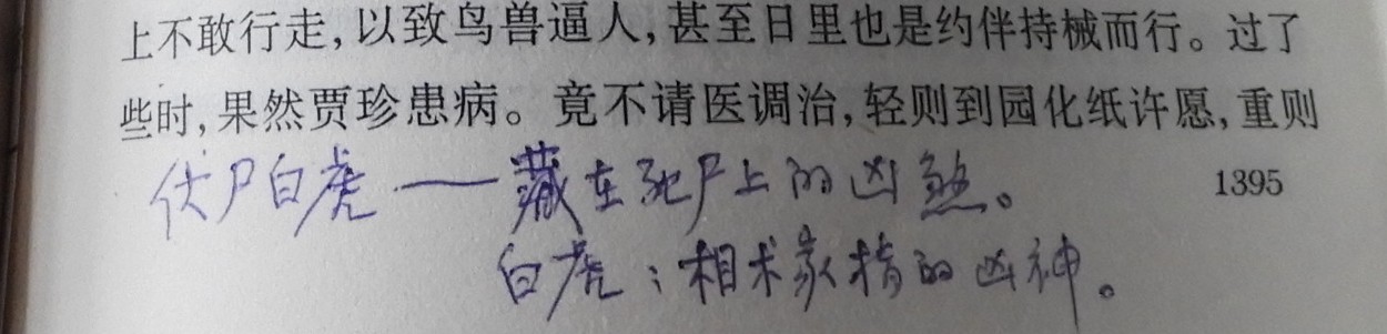 DSCN9083.JPG