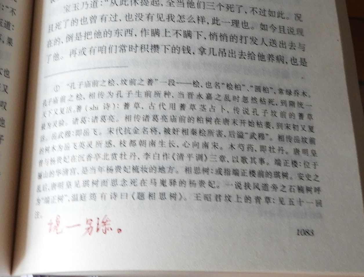 DSCN9067.JPG