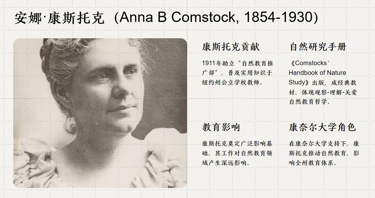 ȡ˹пˣAnna B Comstock1854-1930.png