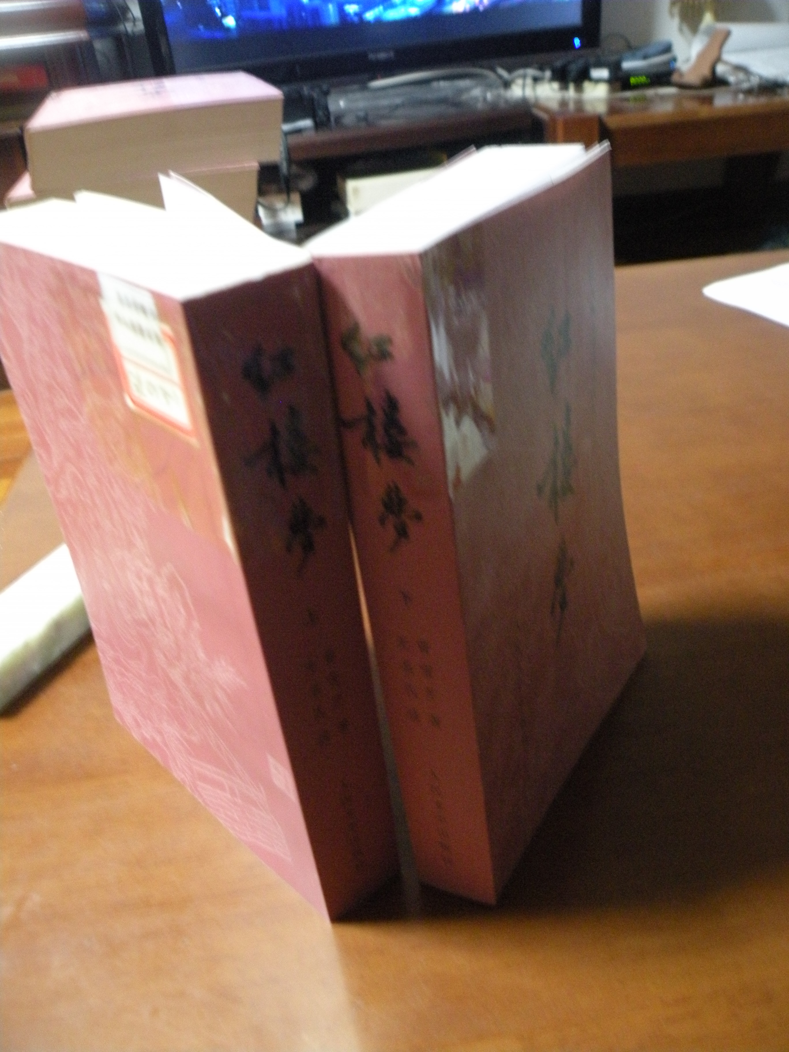 DSCN8155.JPG