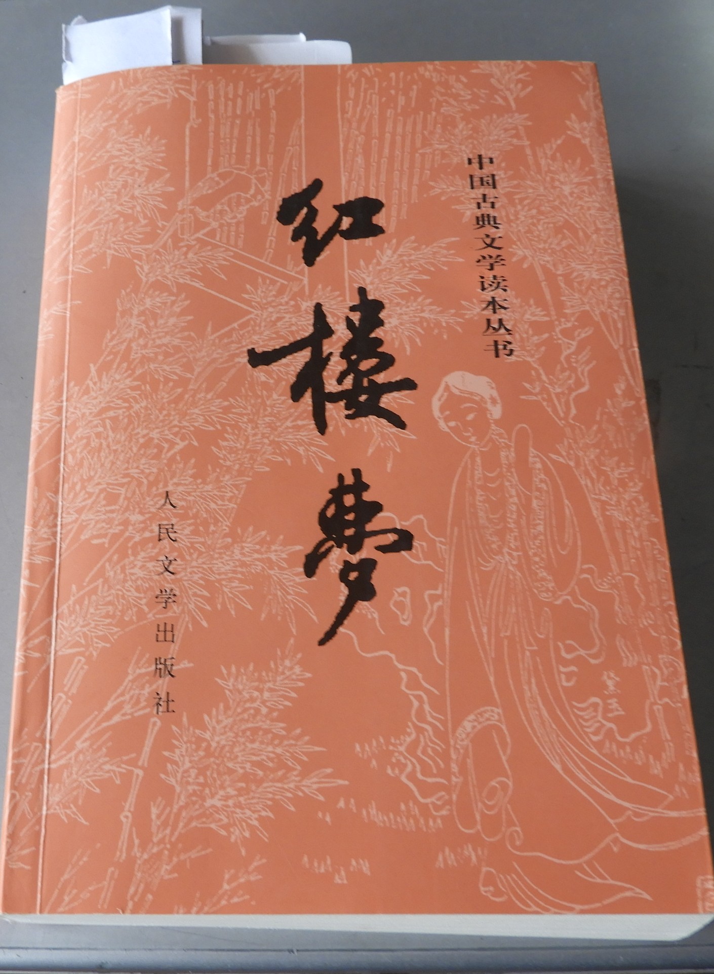 DSCN9089.JPG