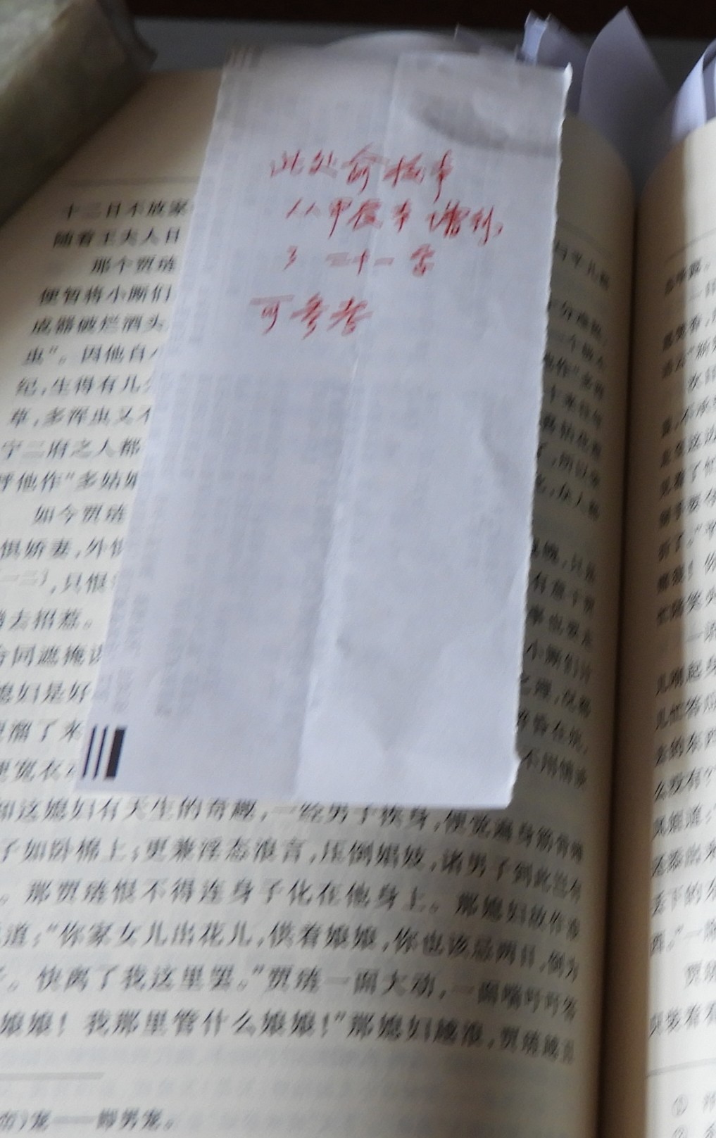 DSCN9113.JPG