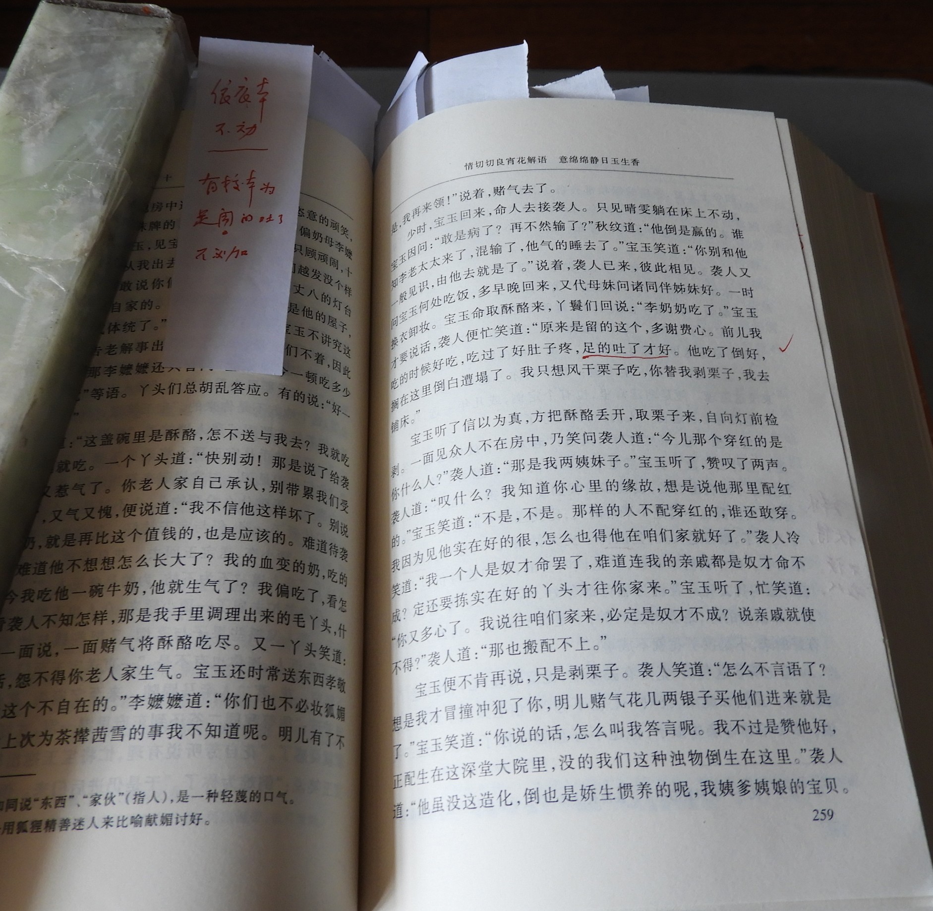 DSCN9110.JPG