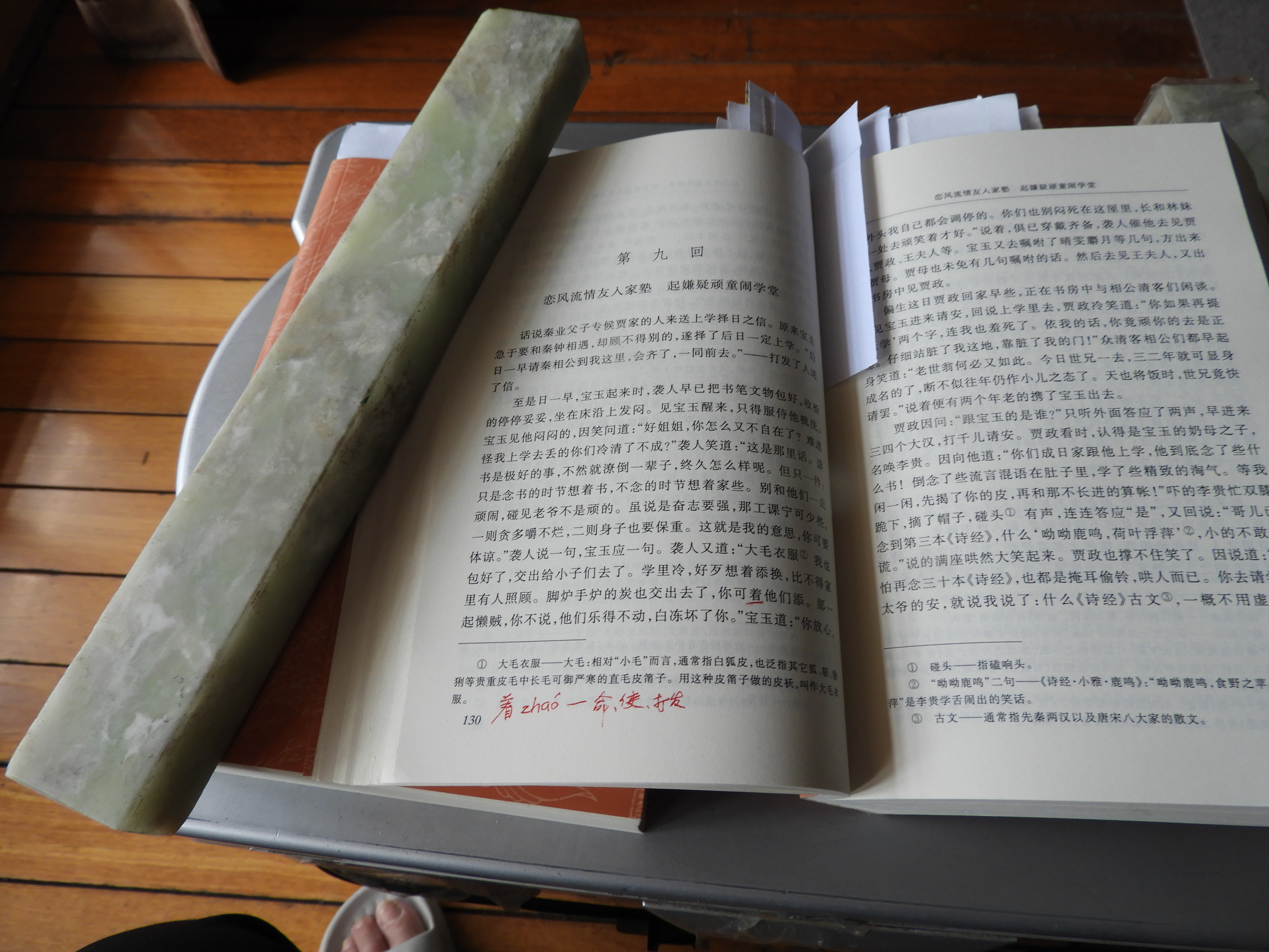 DSCN9101.JPG