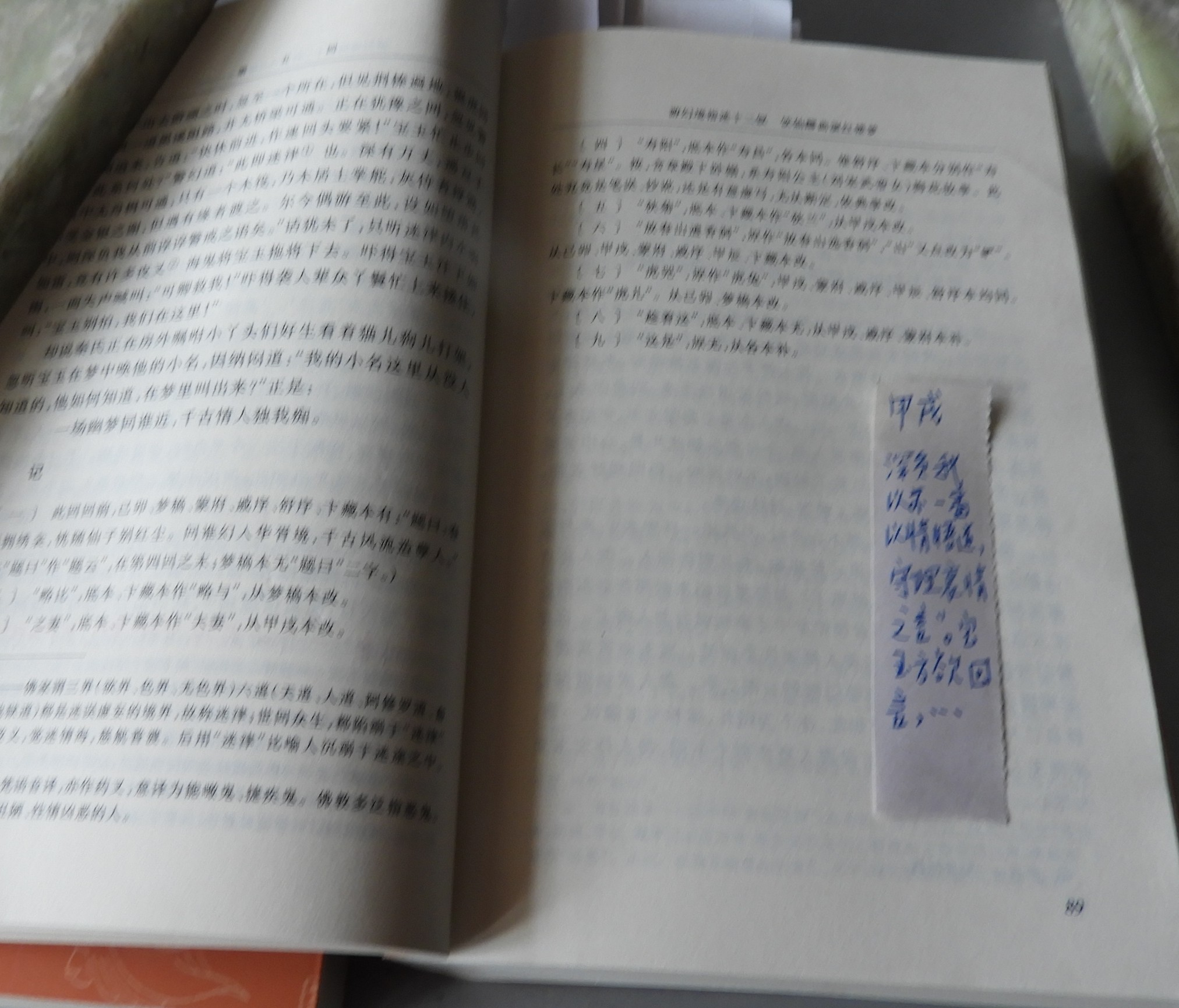 DSCN9099.JPG