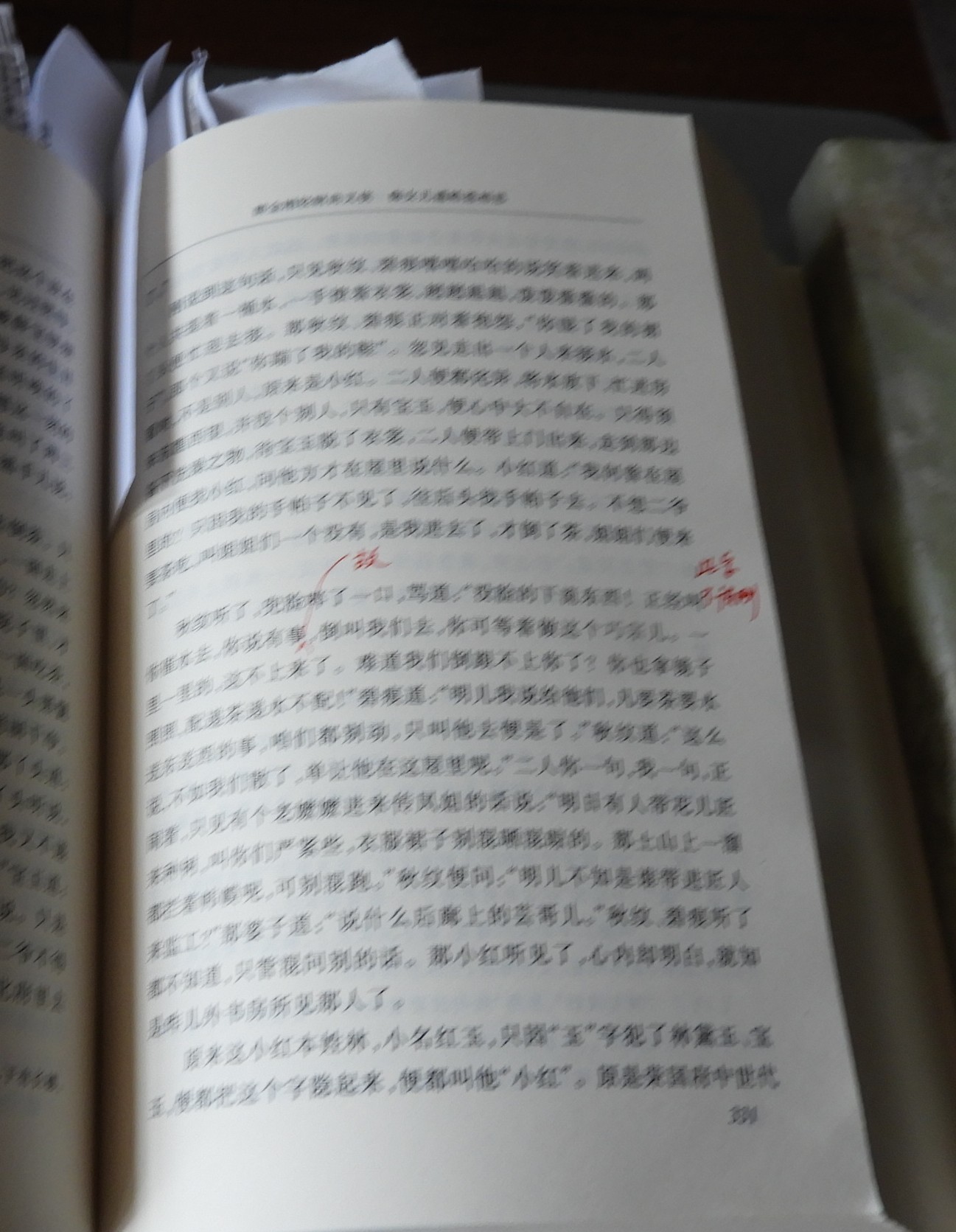 DSCN9117.JPG