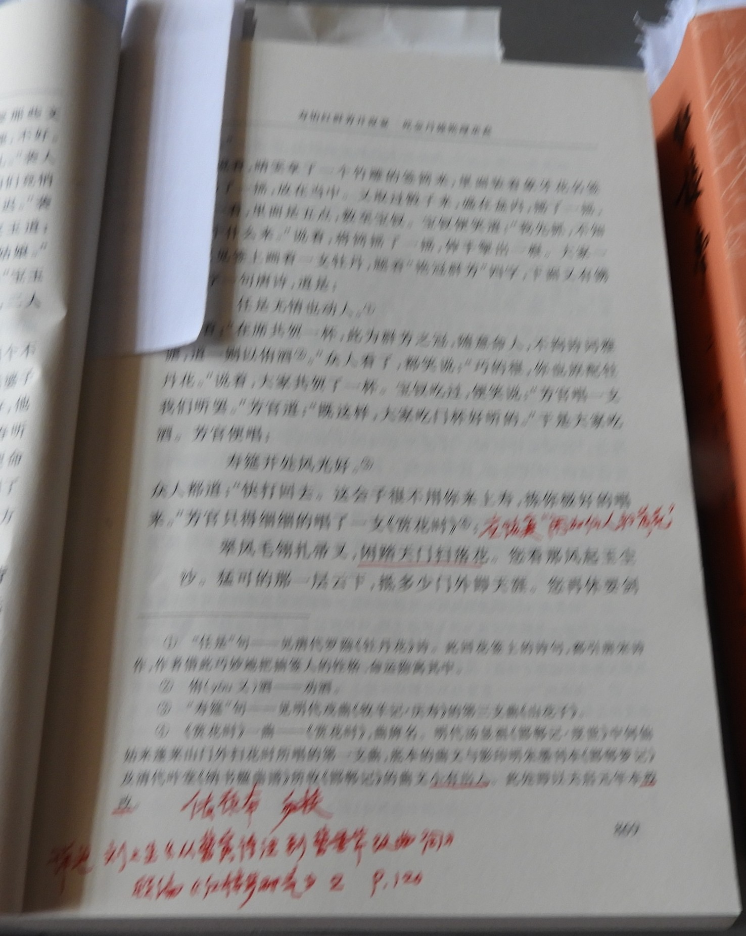 DSCN9148.JPG