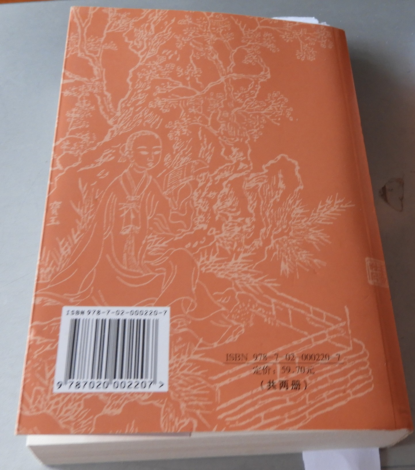 DSCN9168.JPG