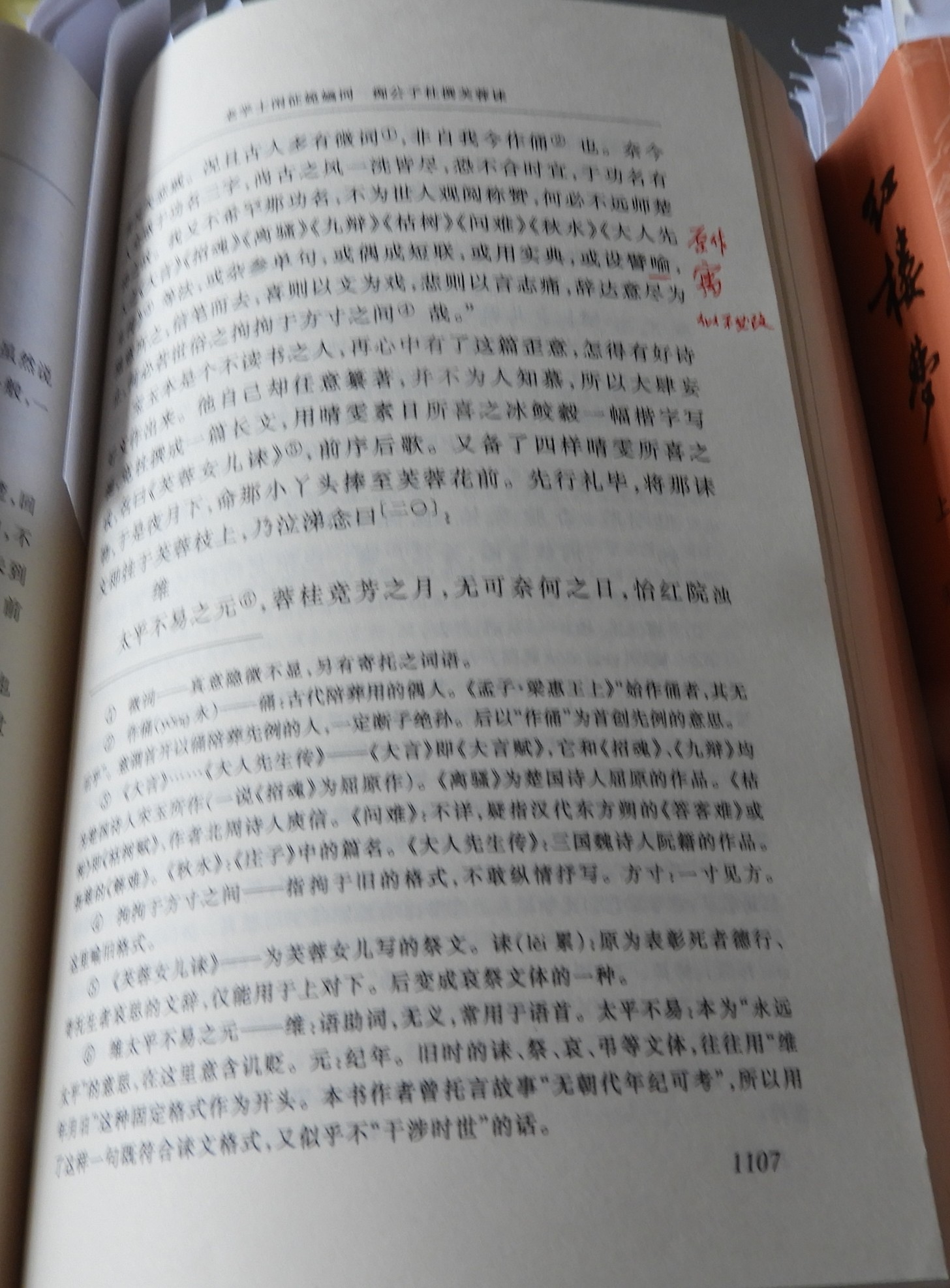 DSCN9164.JPG