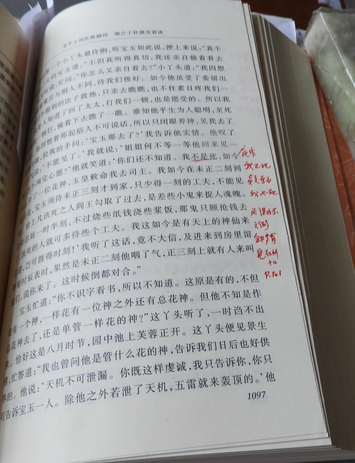 DSCN9161.JPG