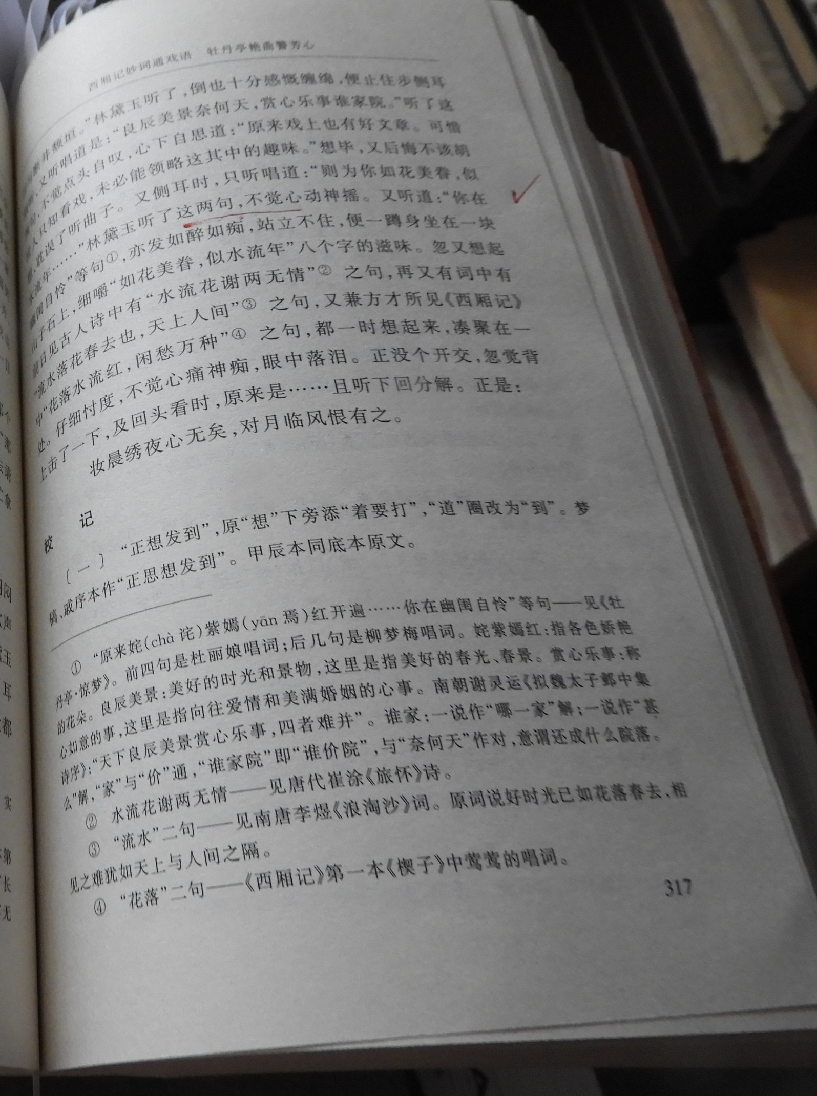 DSCN9181.JPG