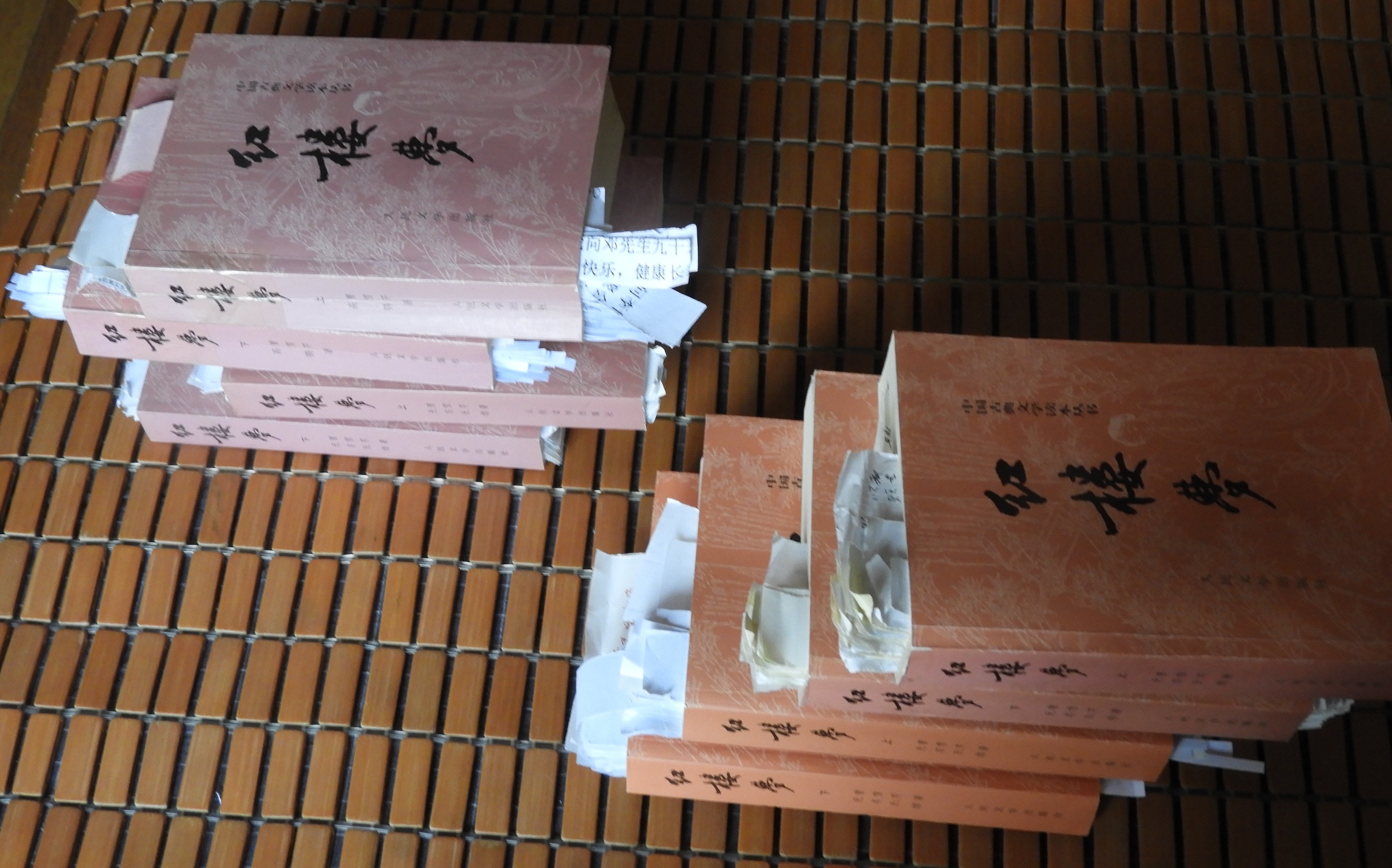 DSCN9245.JPG