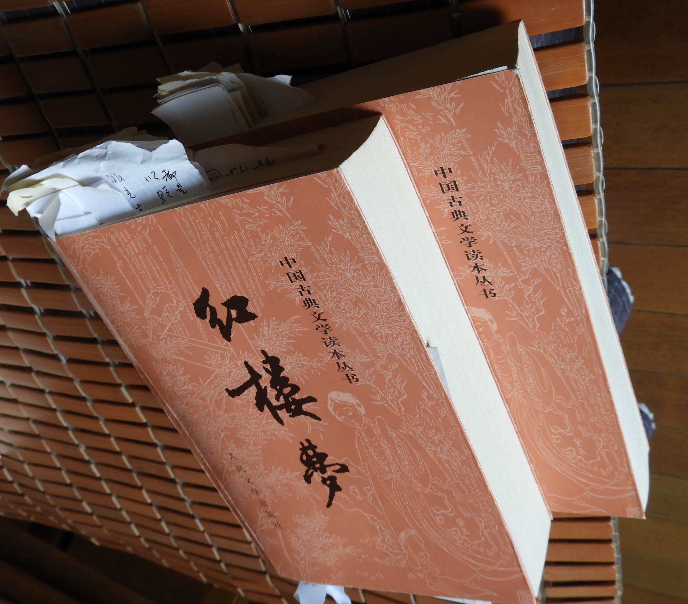 DSCN9207.JPG