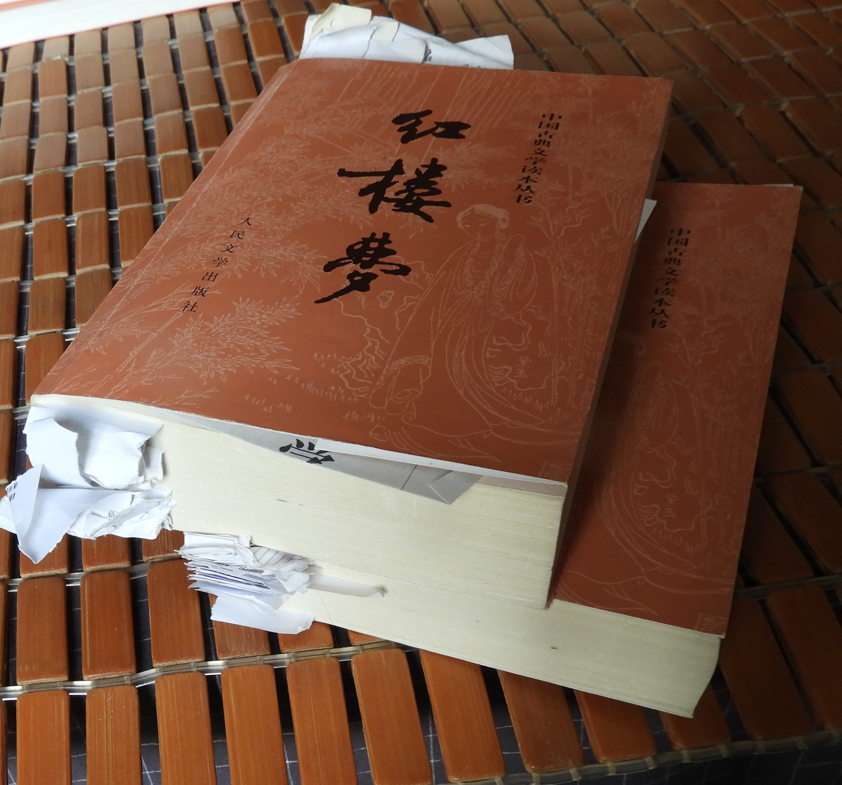 DSCN9208.JPG