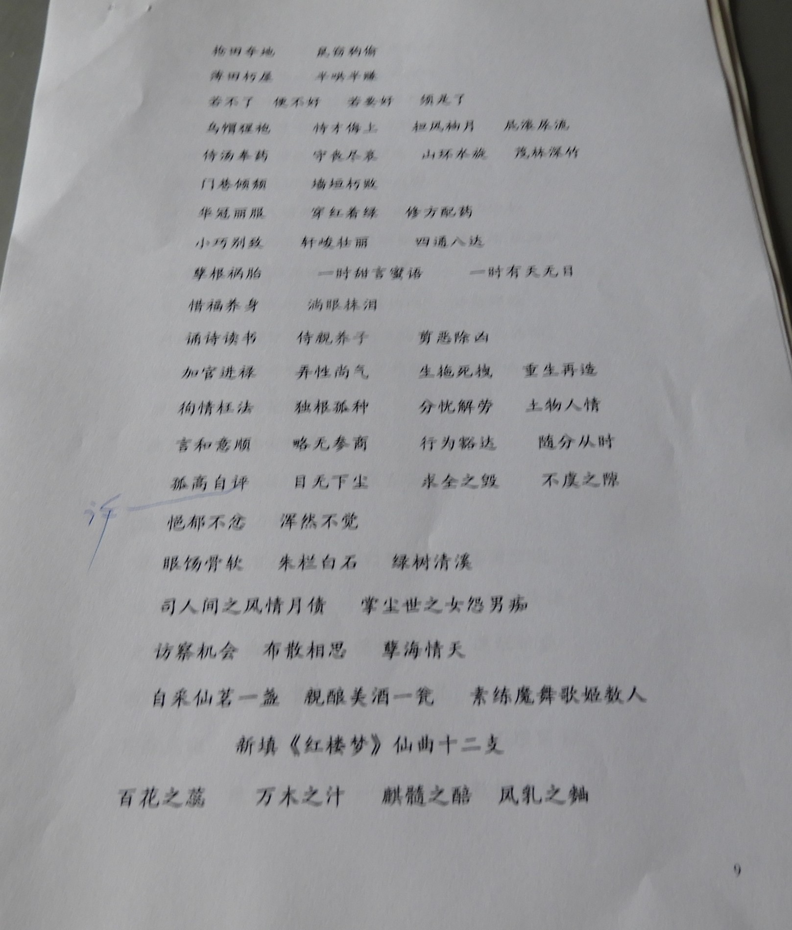 DSCN9315.JPG