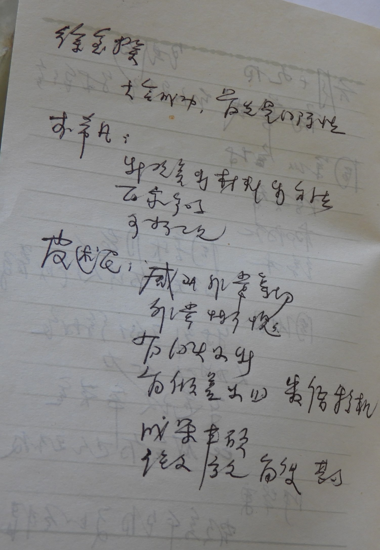 DSCN1636.JPG
