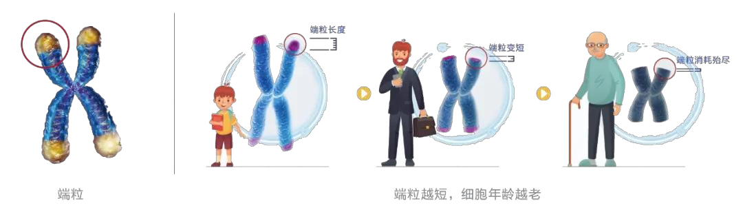 ͼƬ1.png