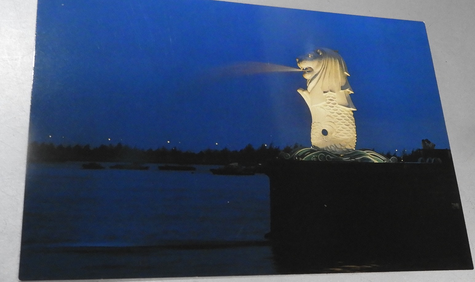 DSCN8685.JPG