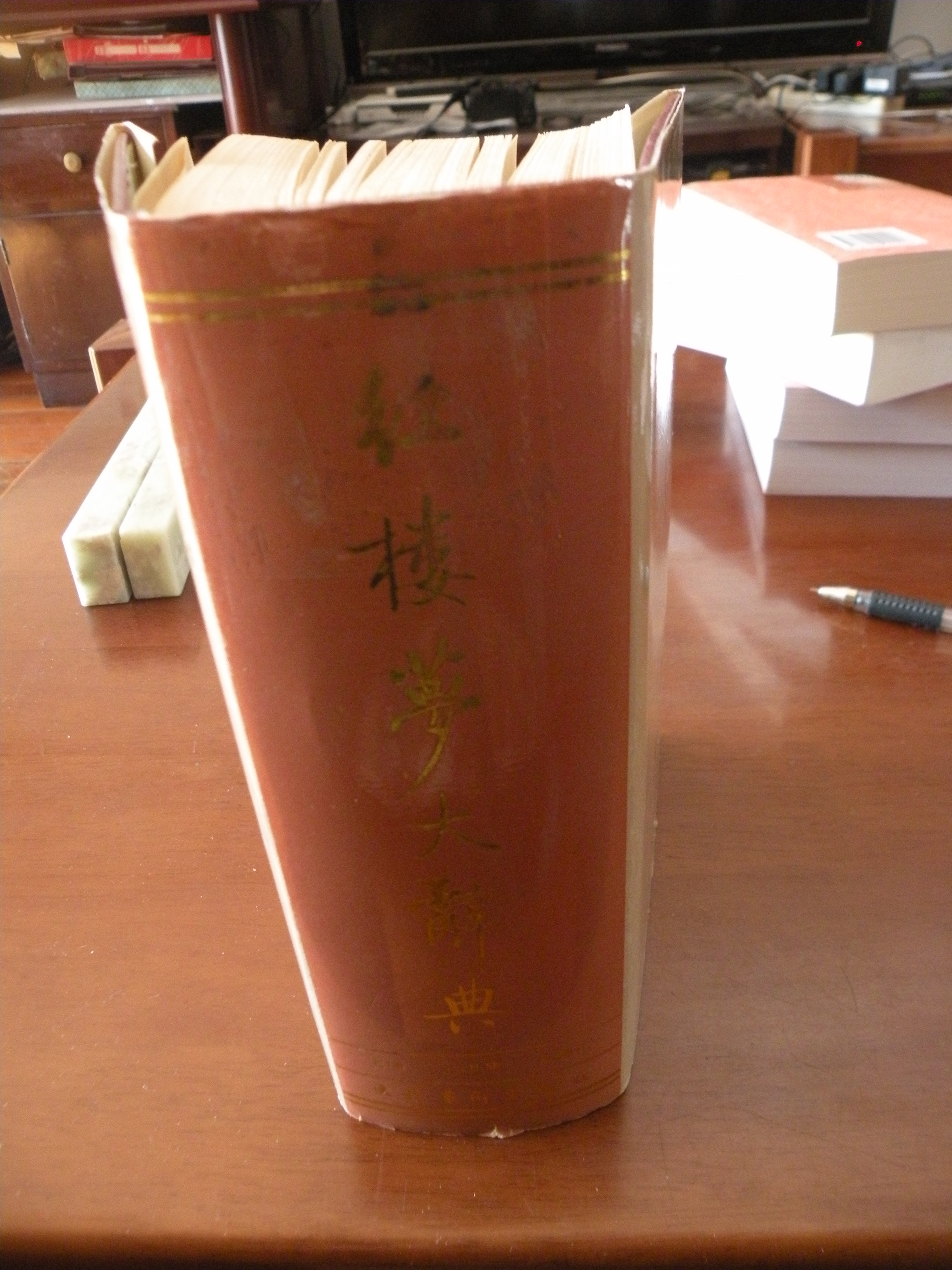 DSCN8298.JPG