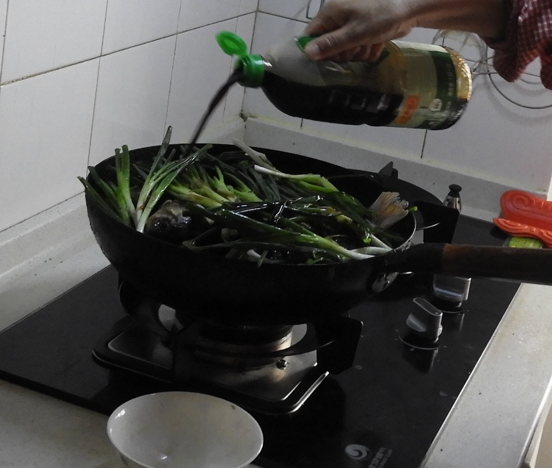DSCN9509.JPG