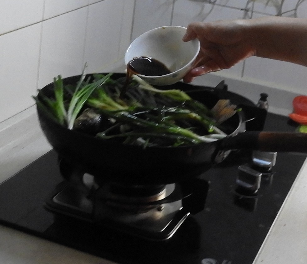 DSCN9508.JPG