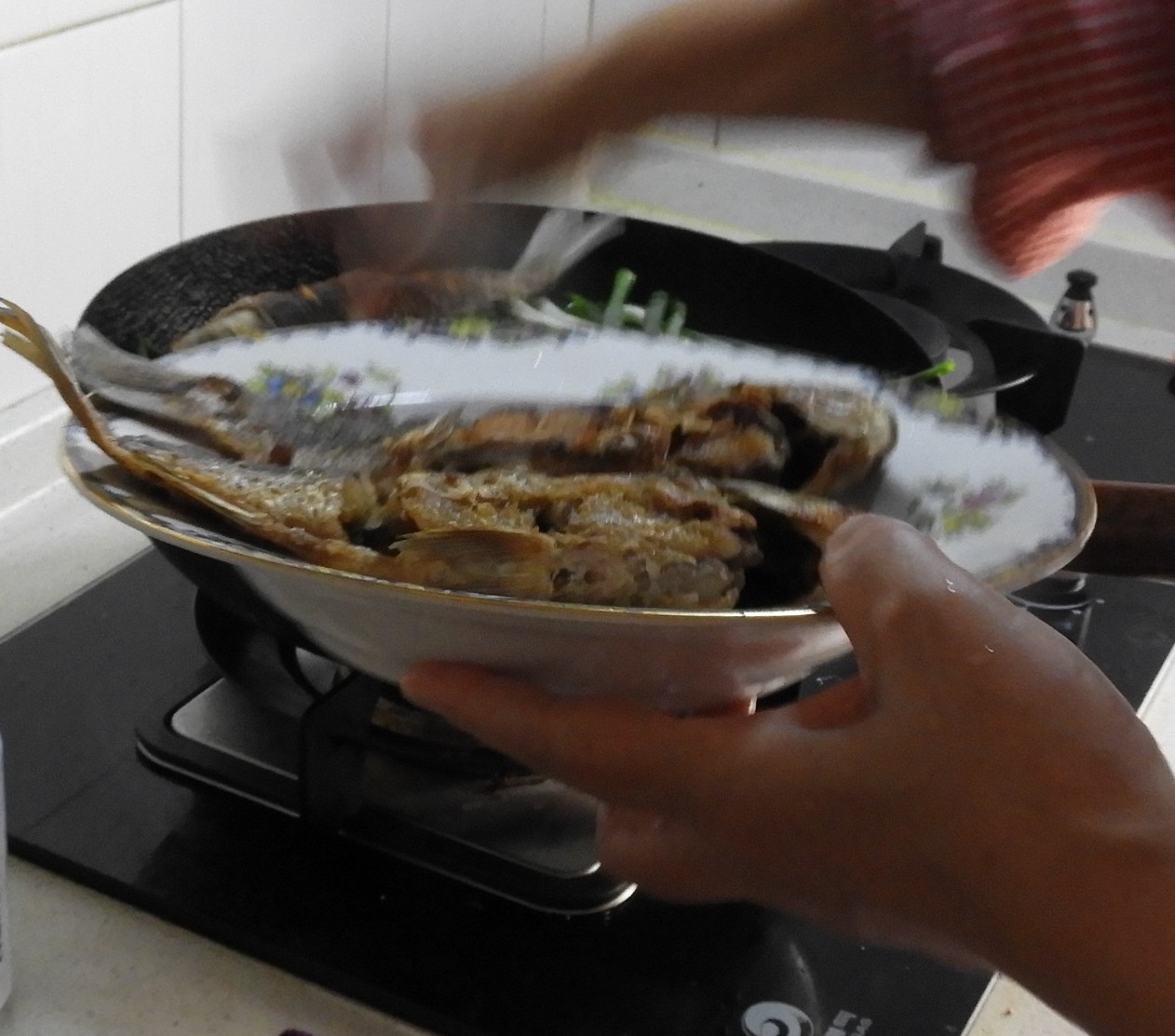 DSCN9501.JPG