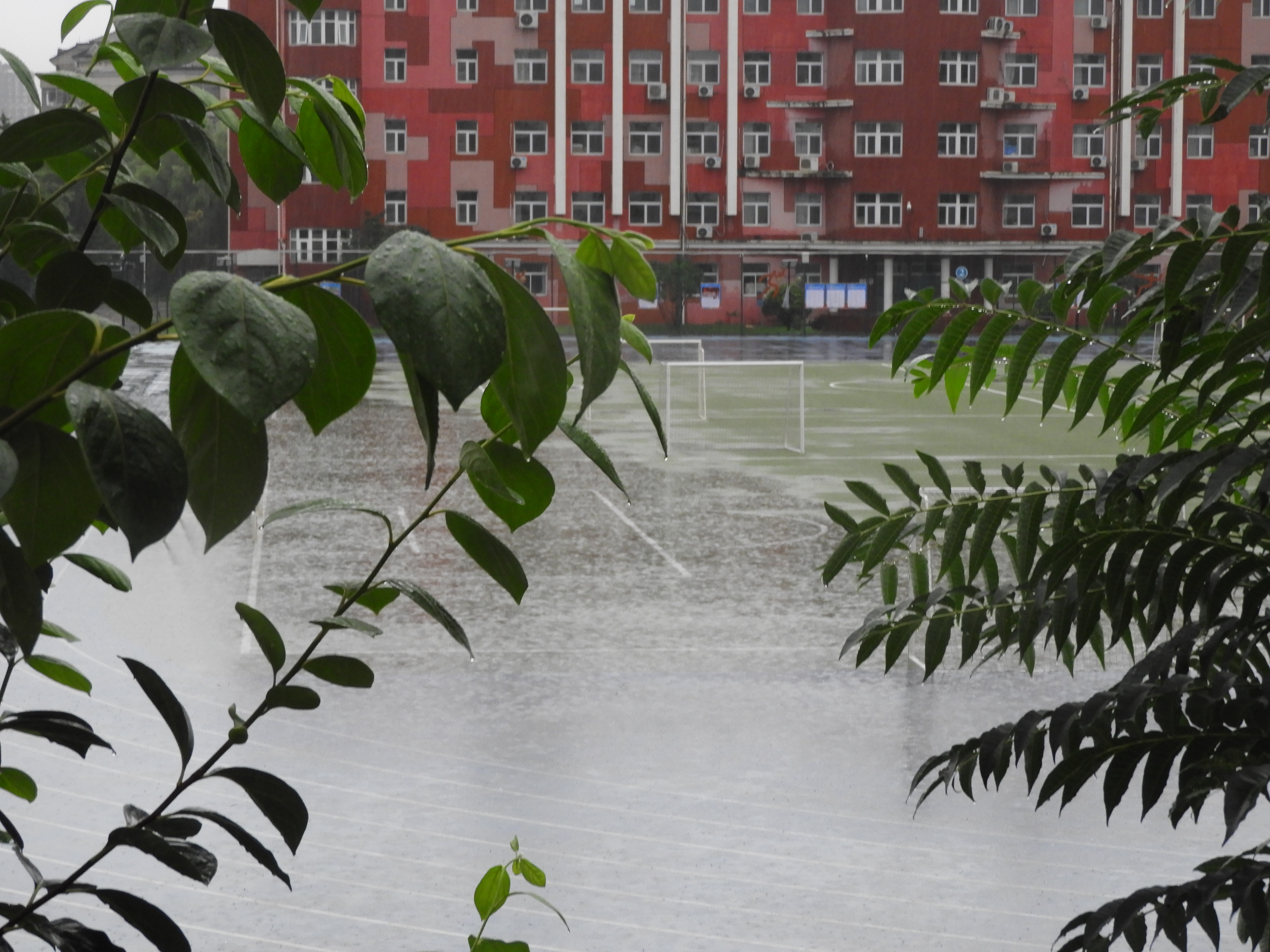 DSCN9582.JPG