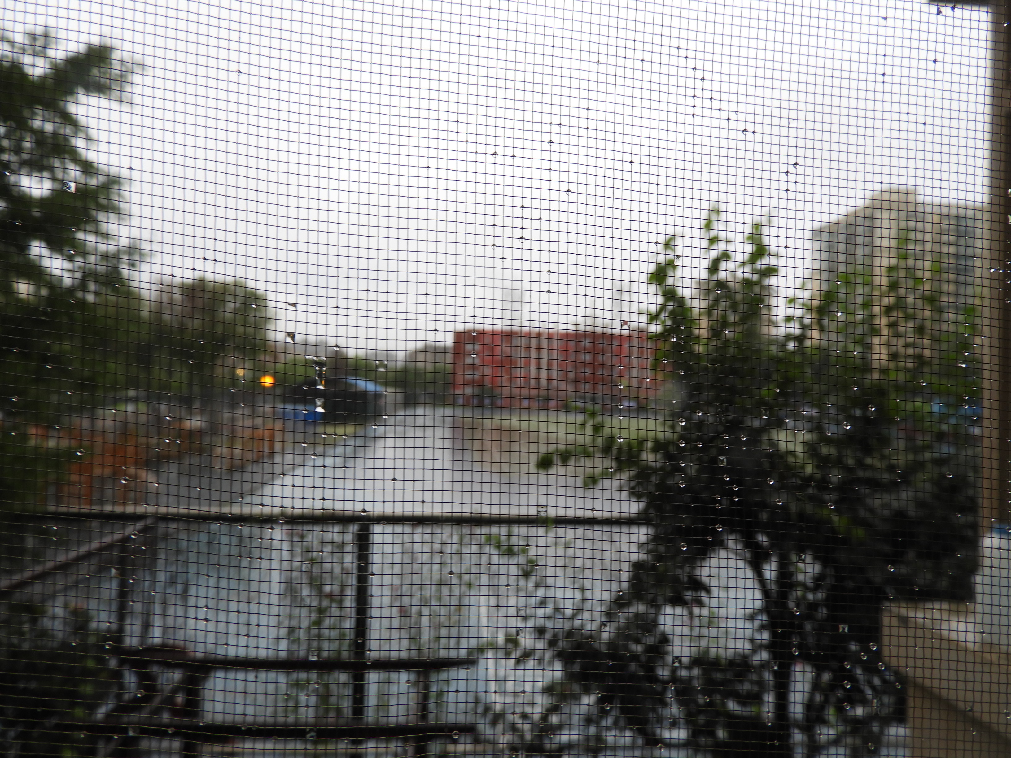 DSCN9589.JPG