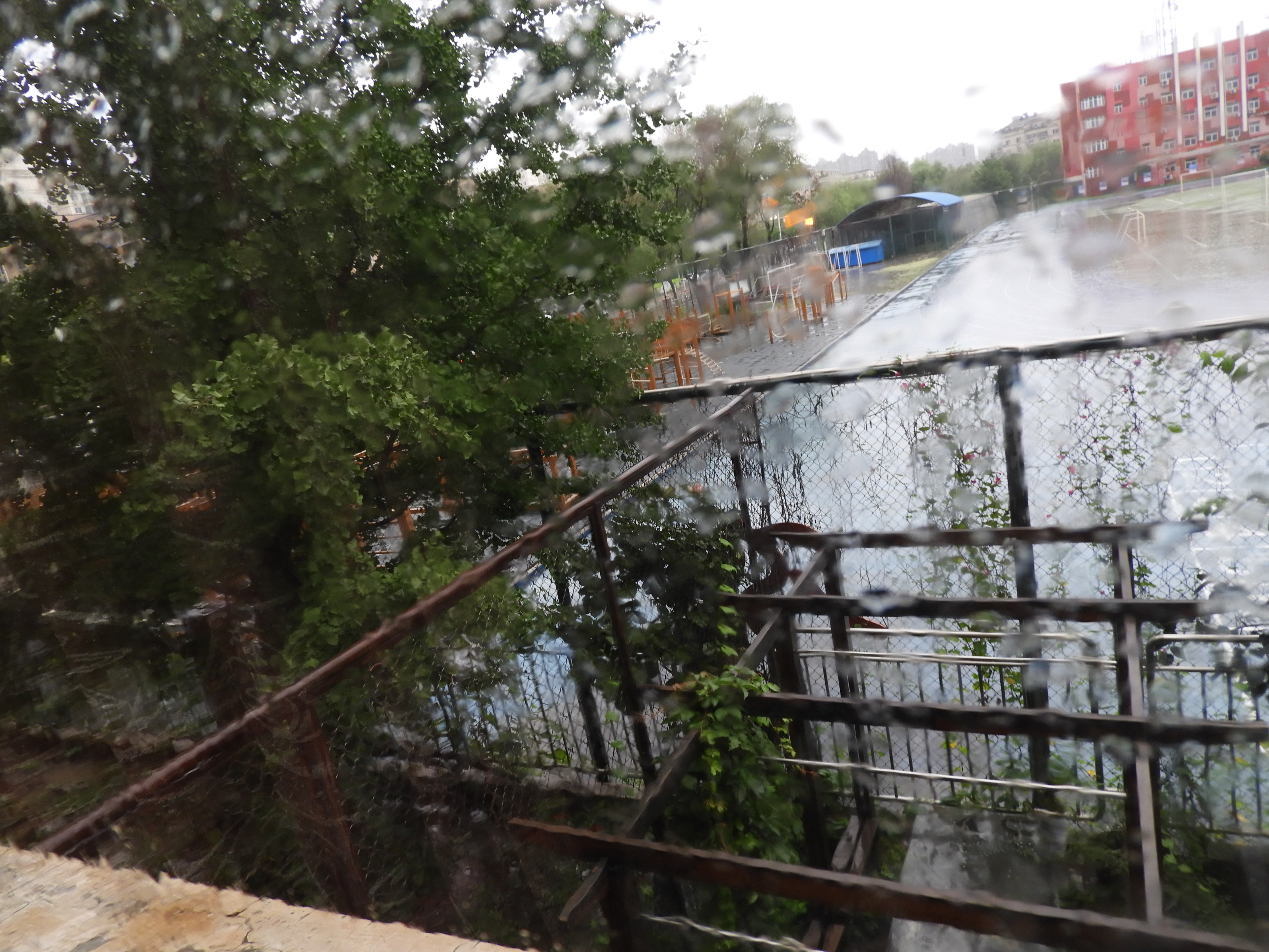 DSCN9590.JPG