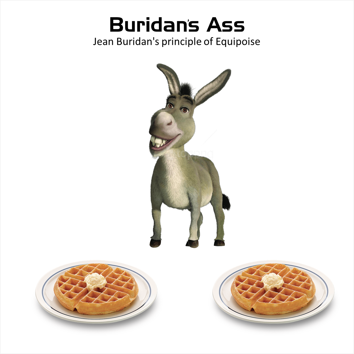 Buridans ass image-22.png