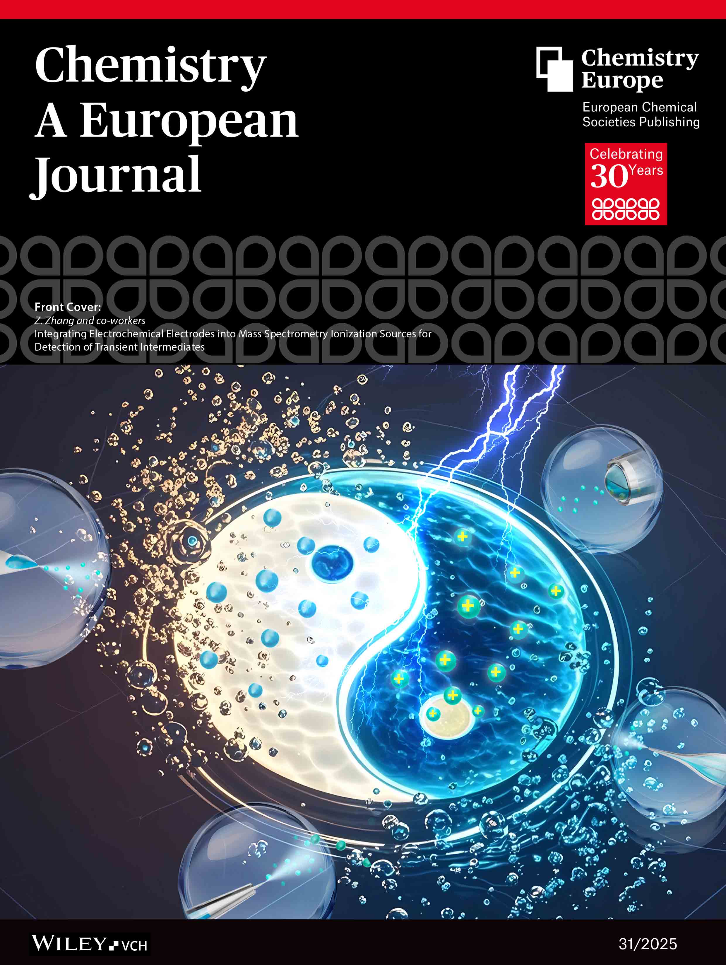 Chemistry A European J - 2025 - Li - Front Cover  Integrating Electrochemical El.jpg