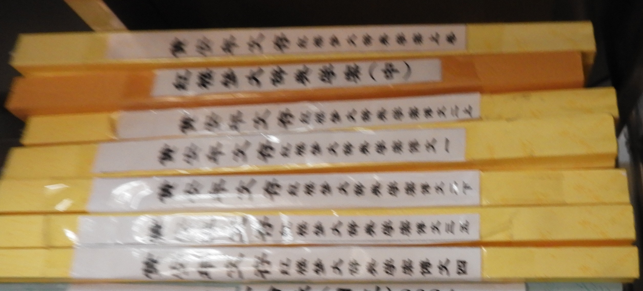 DSCN9702.JPG