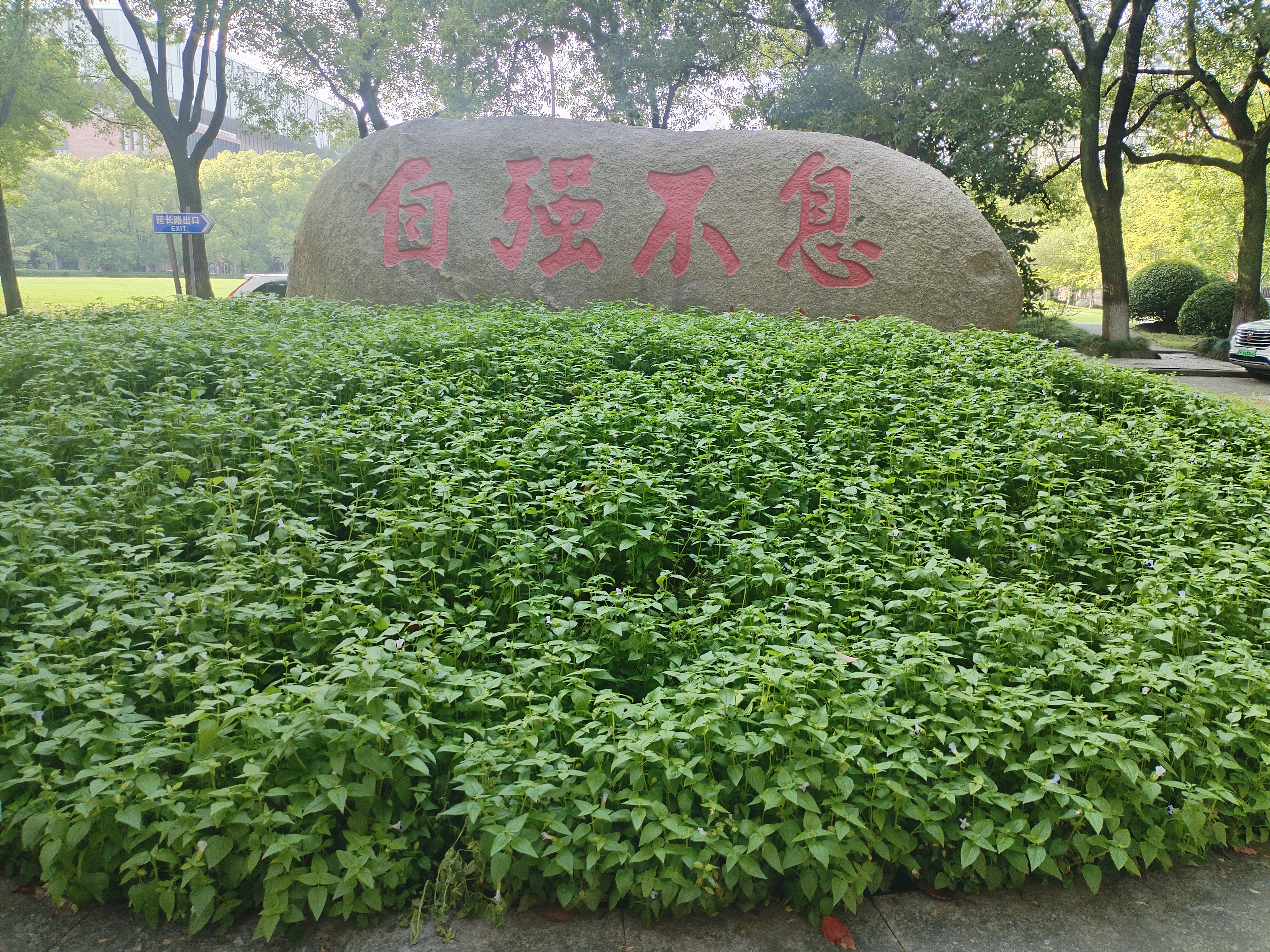 07.jpg