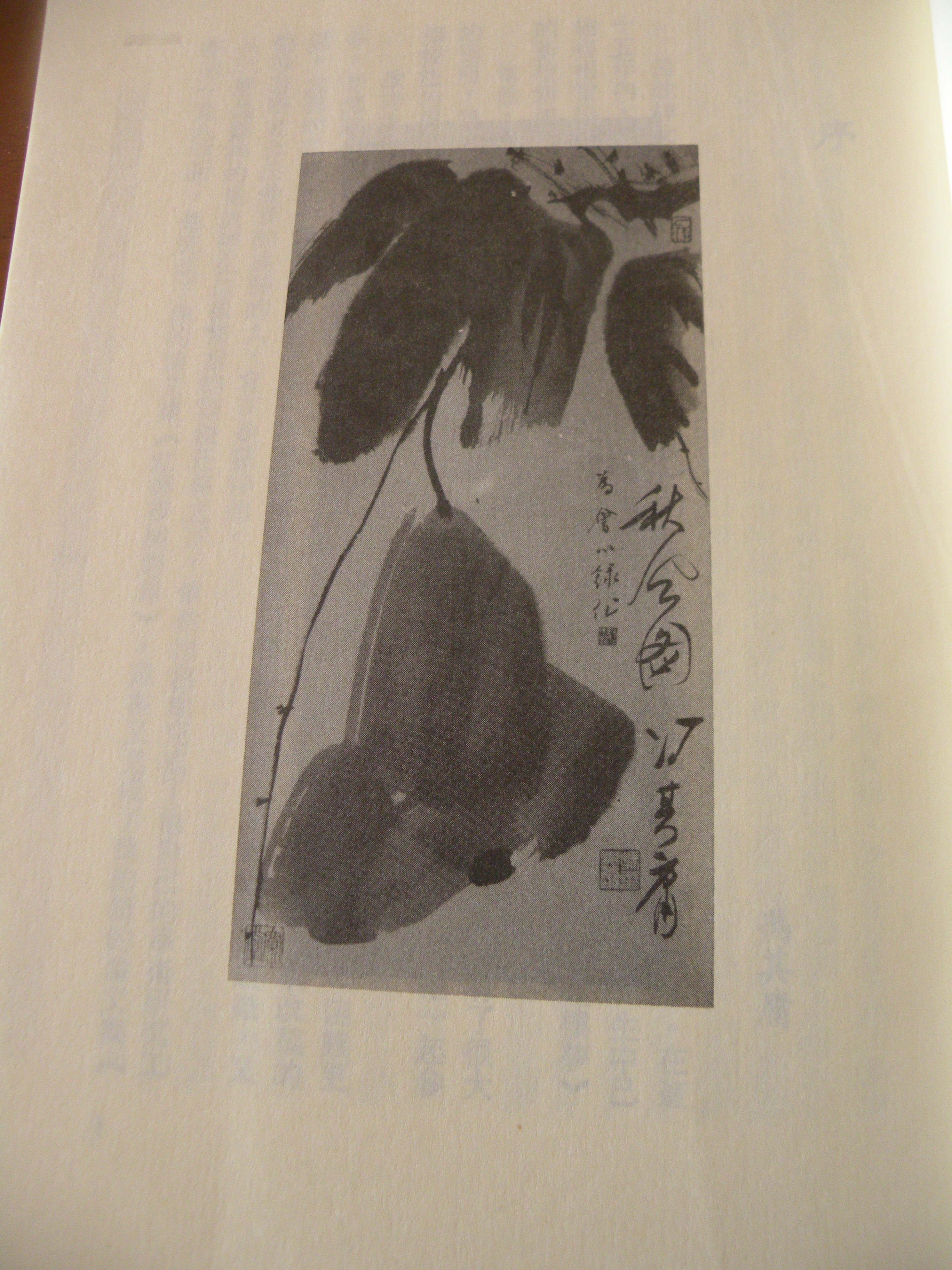 DSCN7756.JPG