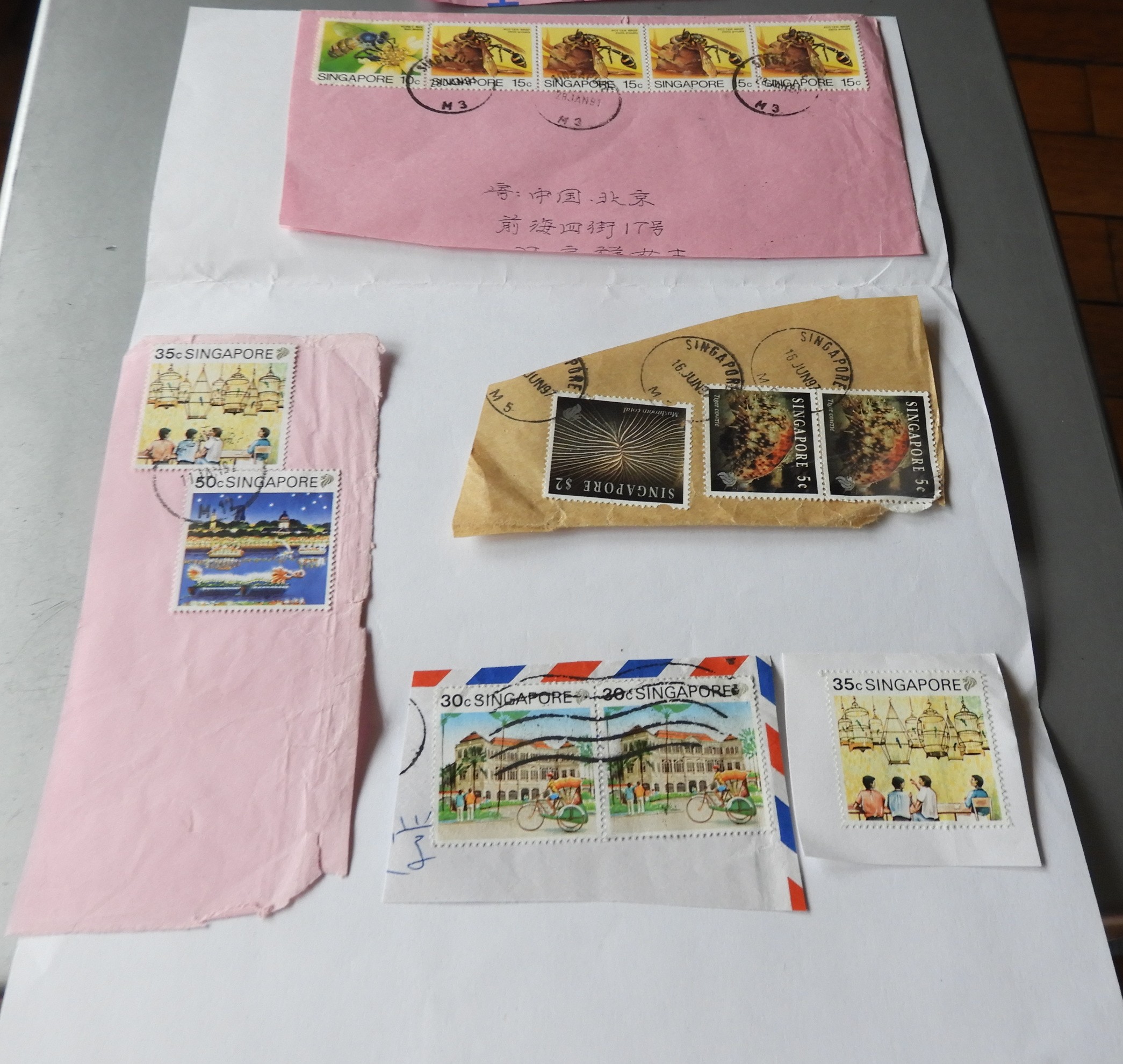 DSCN9942.JPG