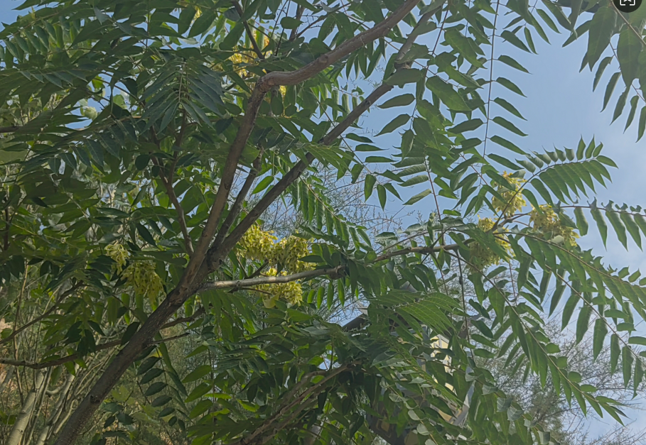 8.png