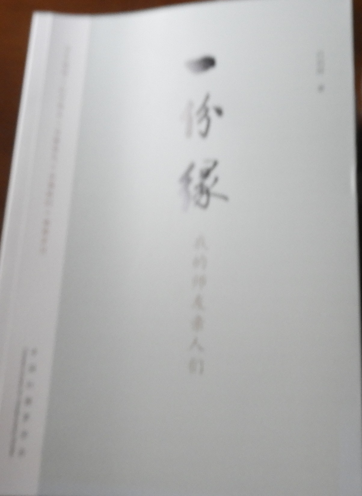 DSCN9915.JPG