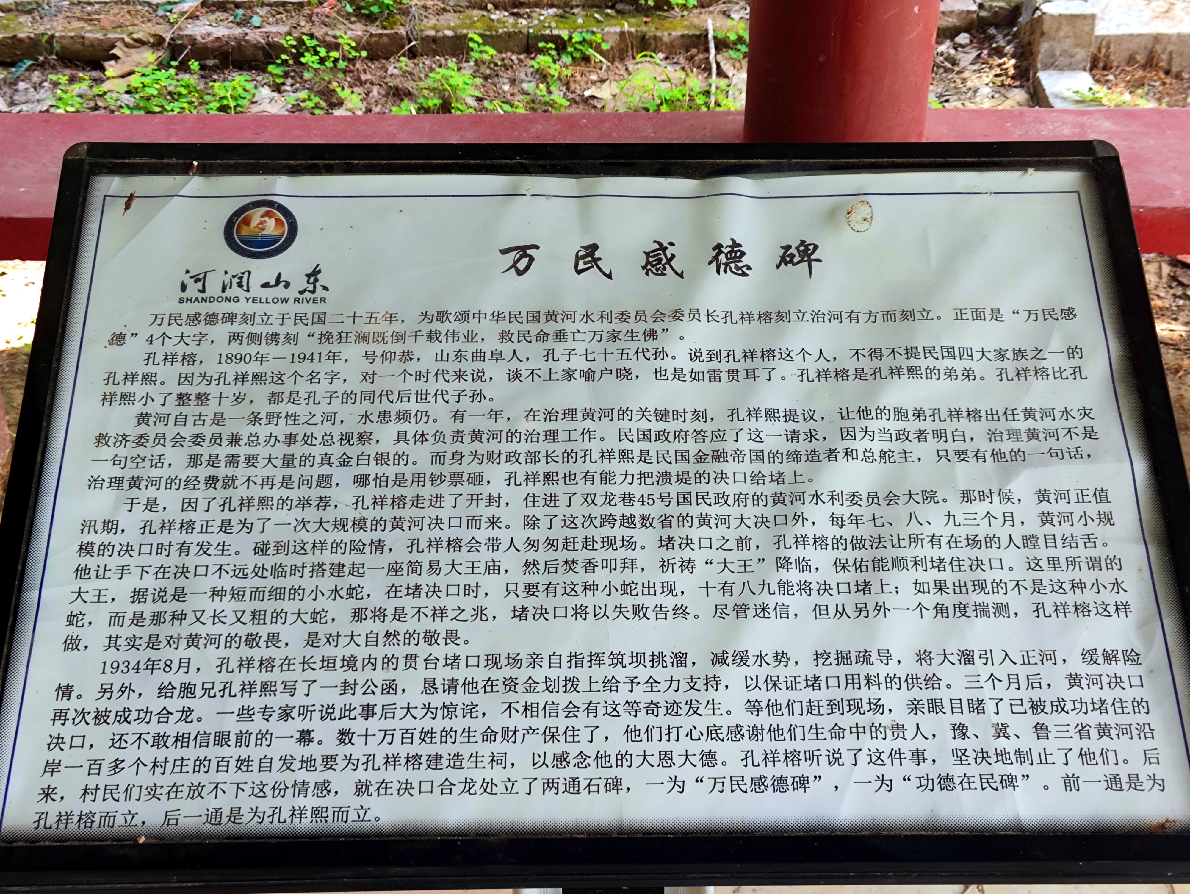 IMG_20250725_125104.jpg