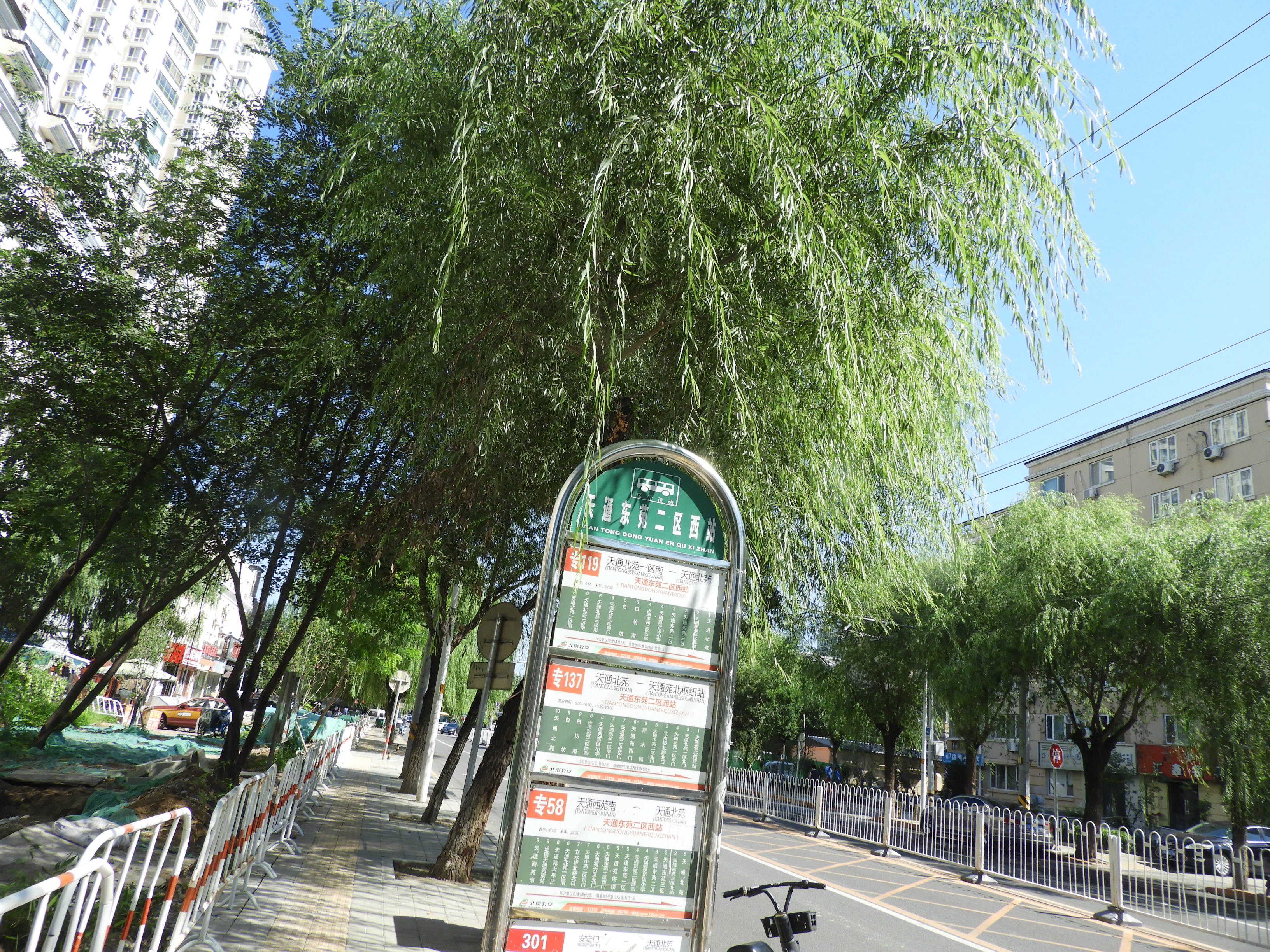 DSCN0008.JPG