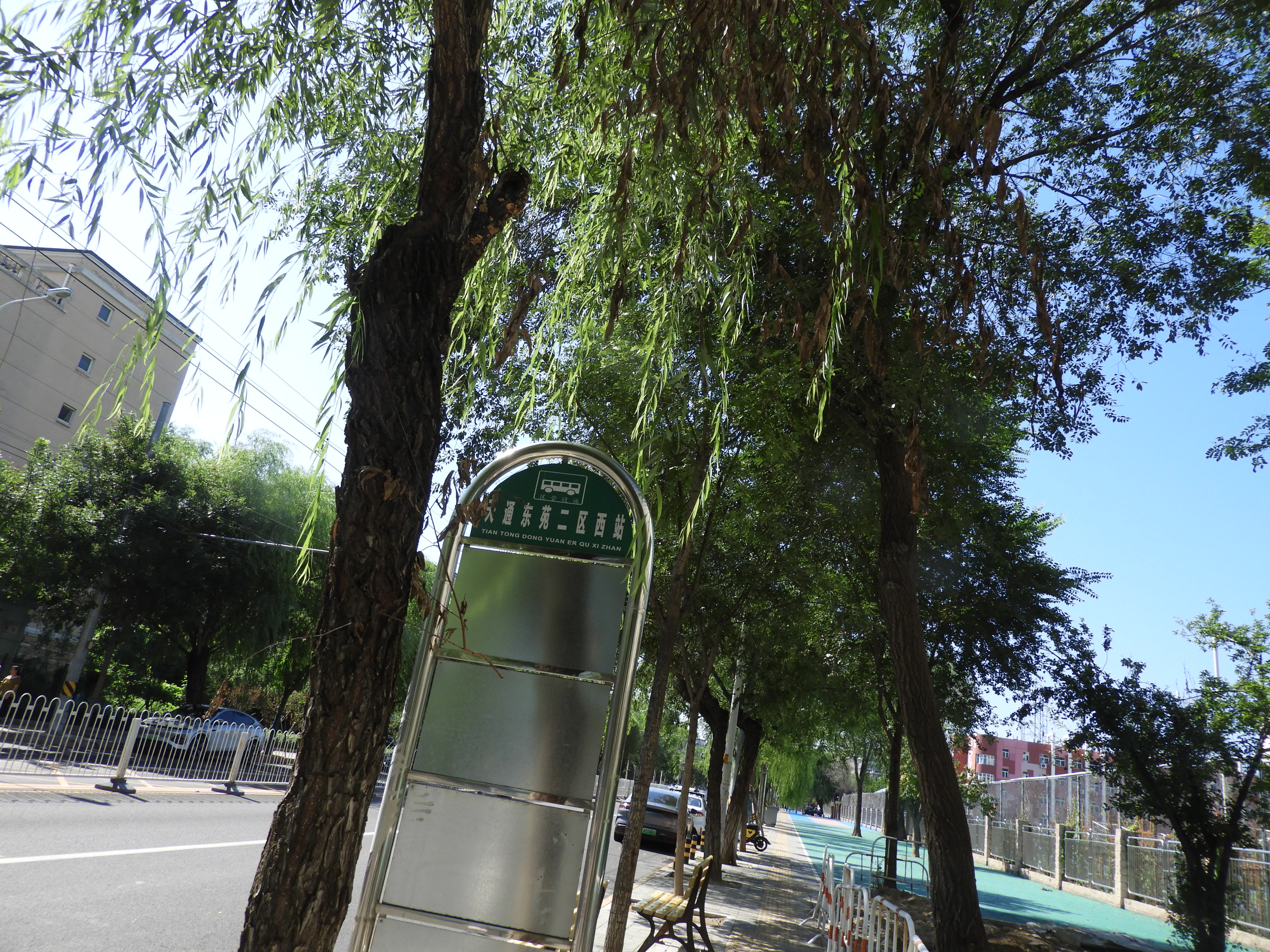 DSCN0006.JPG