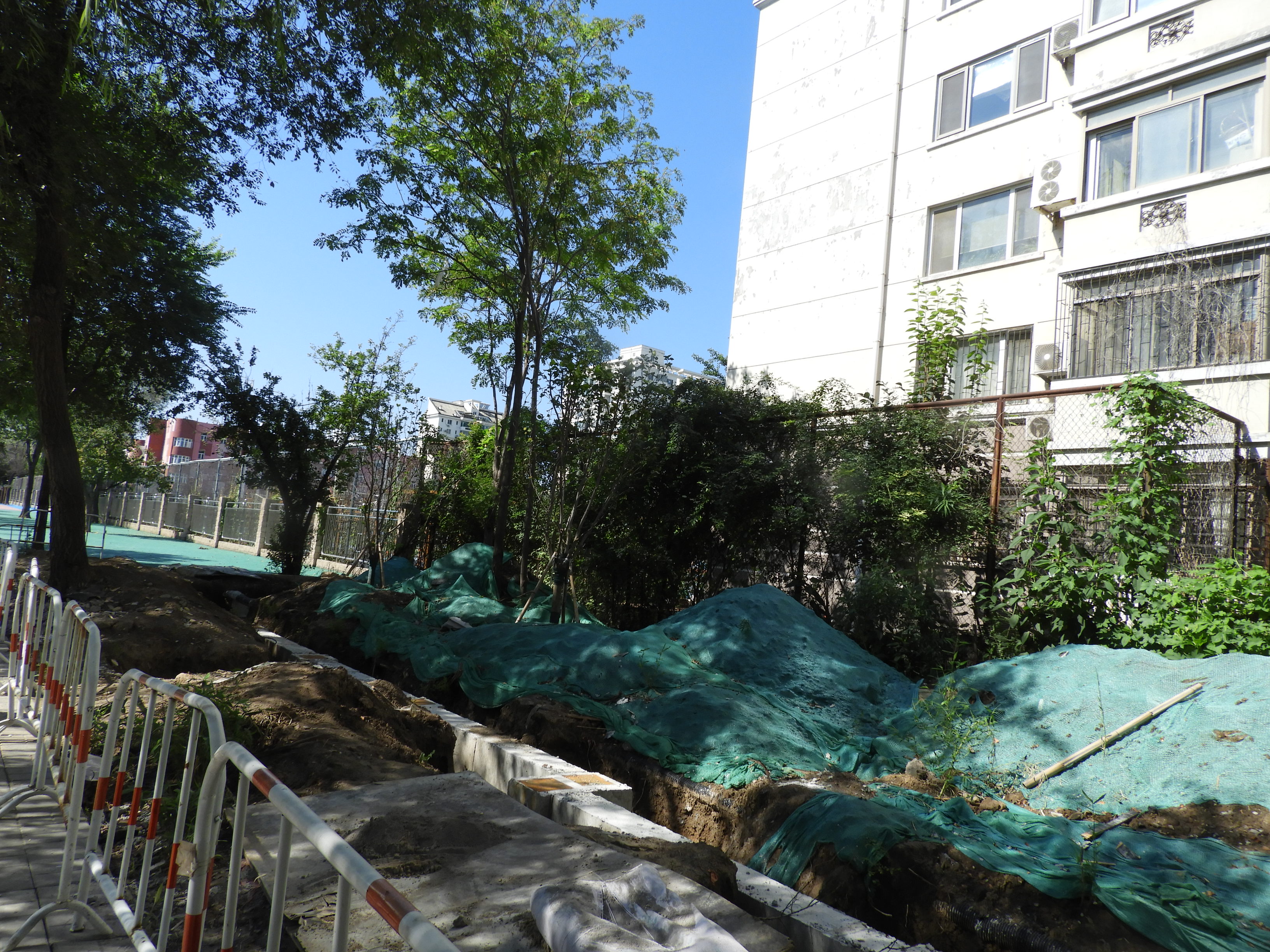 DSCN0005.JPG