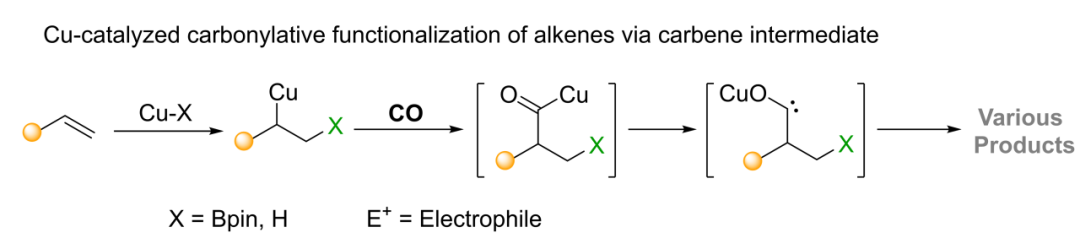 640 (61).png
