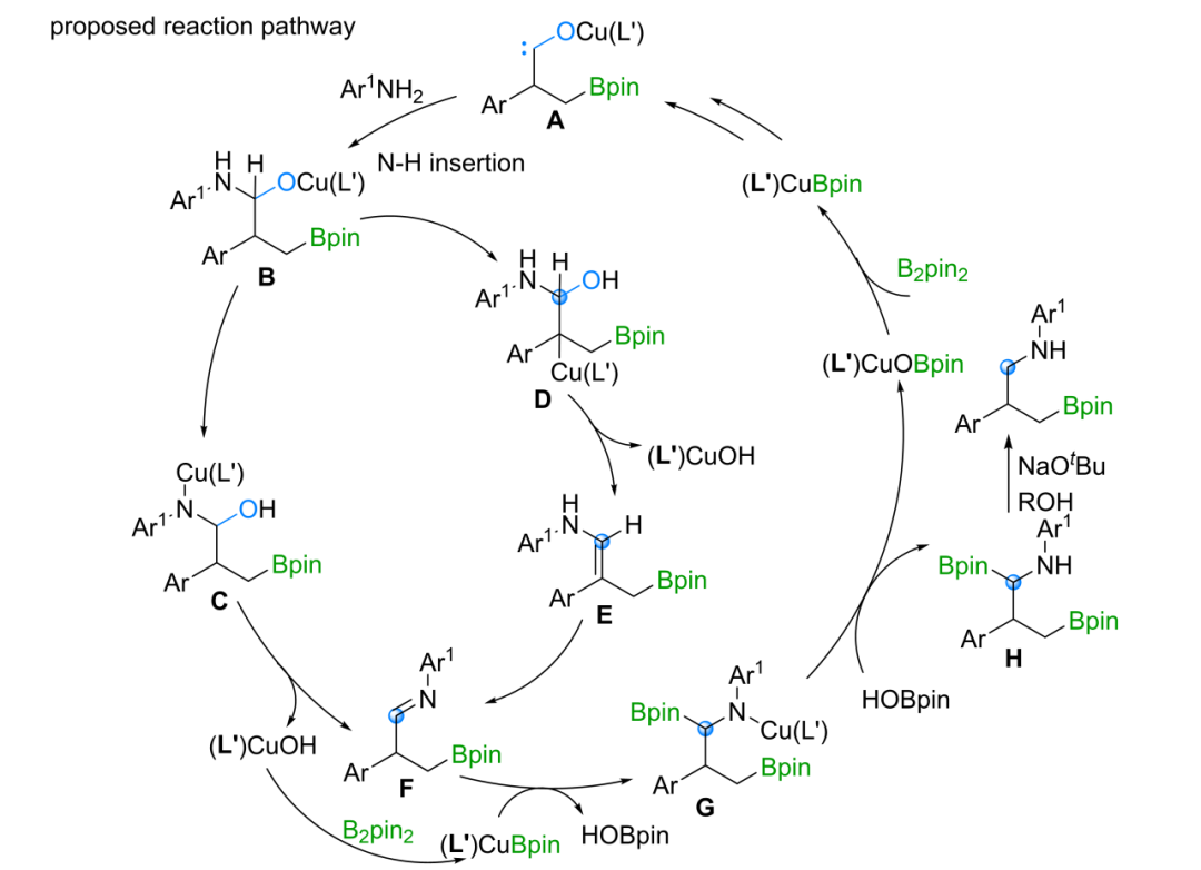 640 (62).png