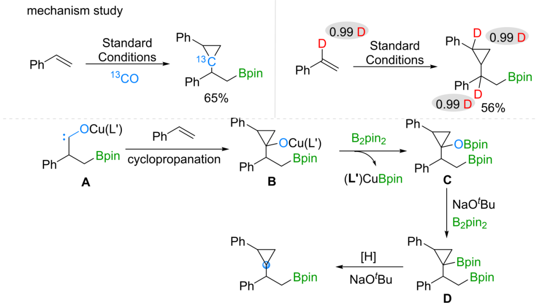 640 (64).png