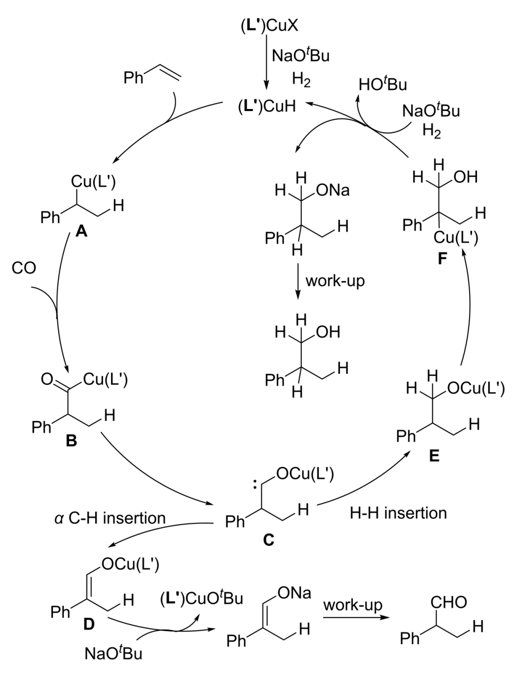 640 (66).png