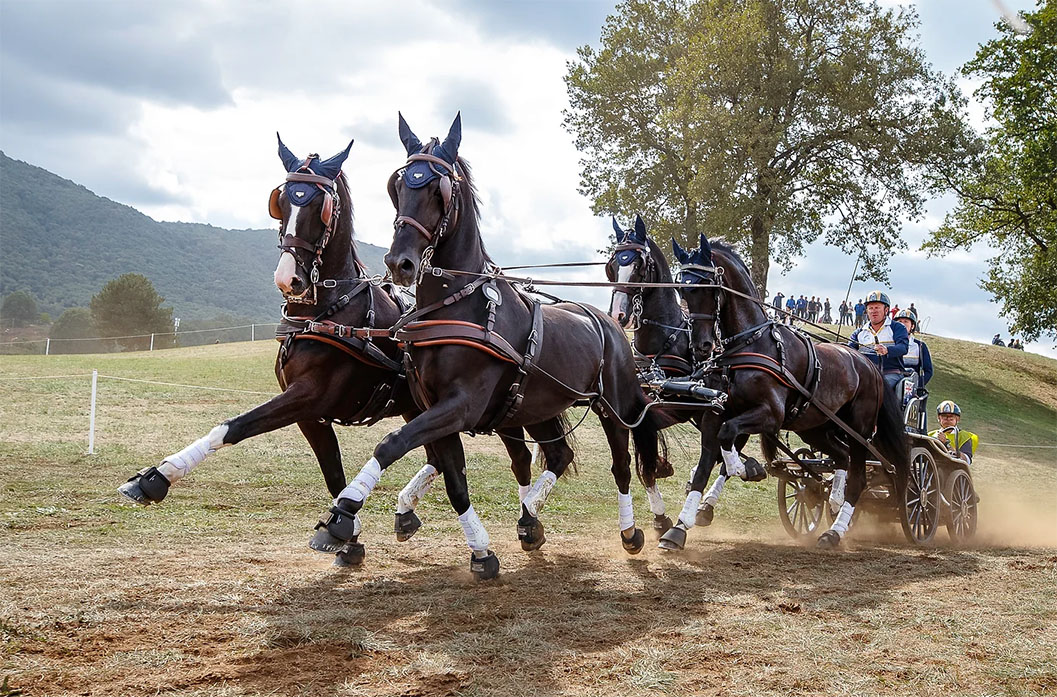 Carriage-Driving-will-arrive-on-the-border-this-week-with-the-runnign-the-three-.jpg