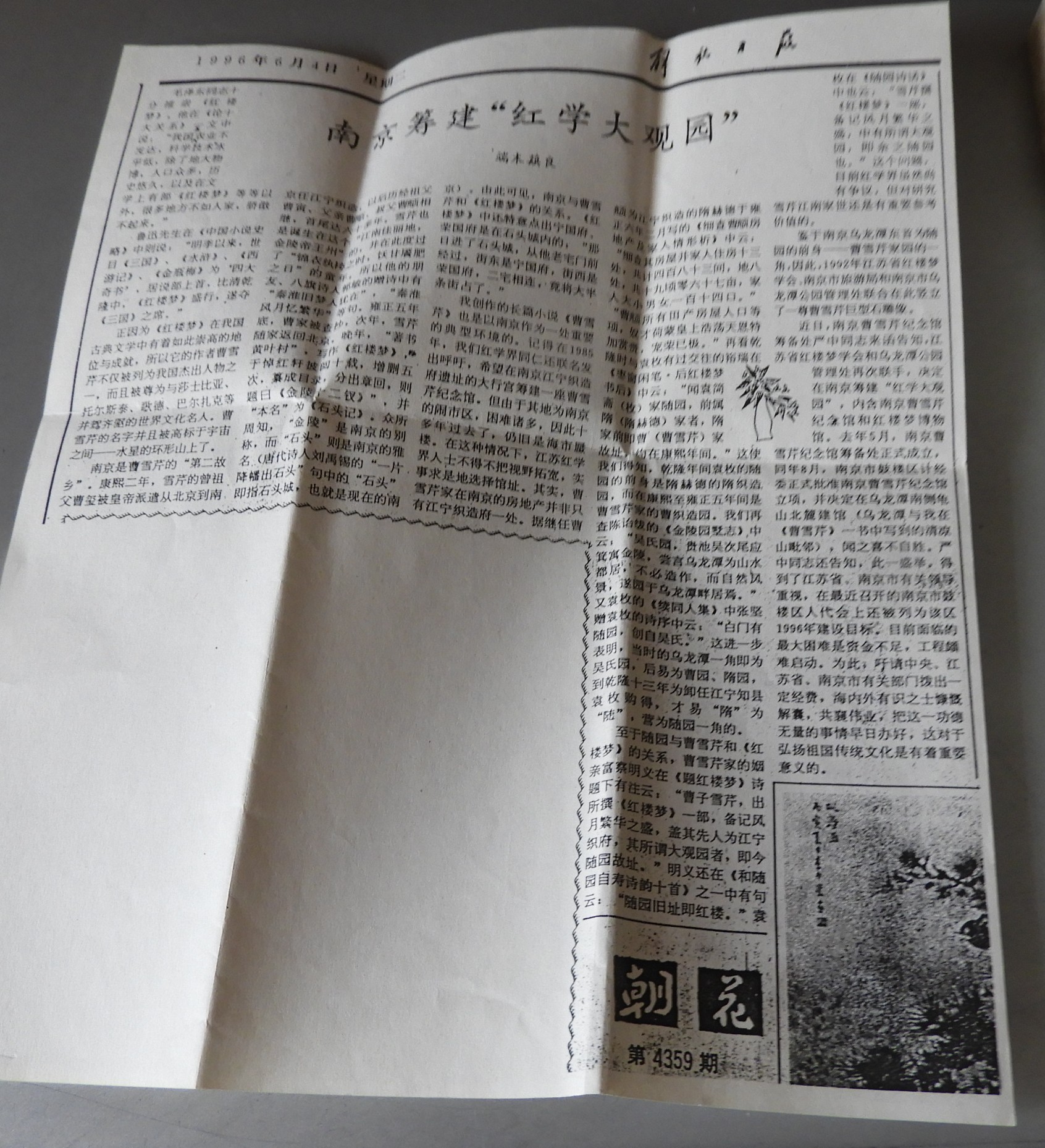 DSCN8386.JPG