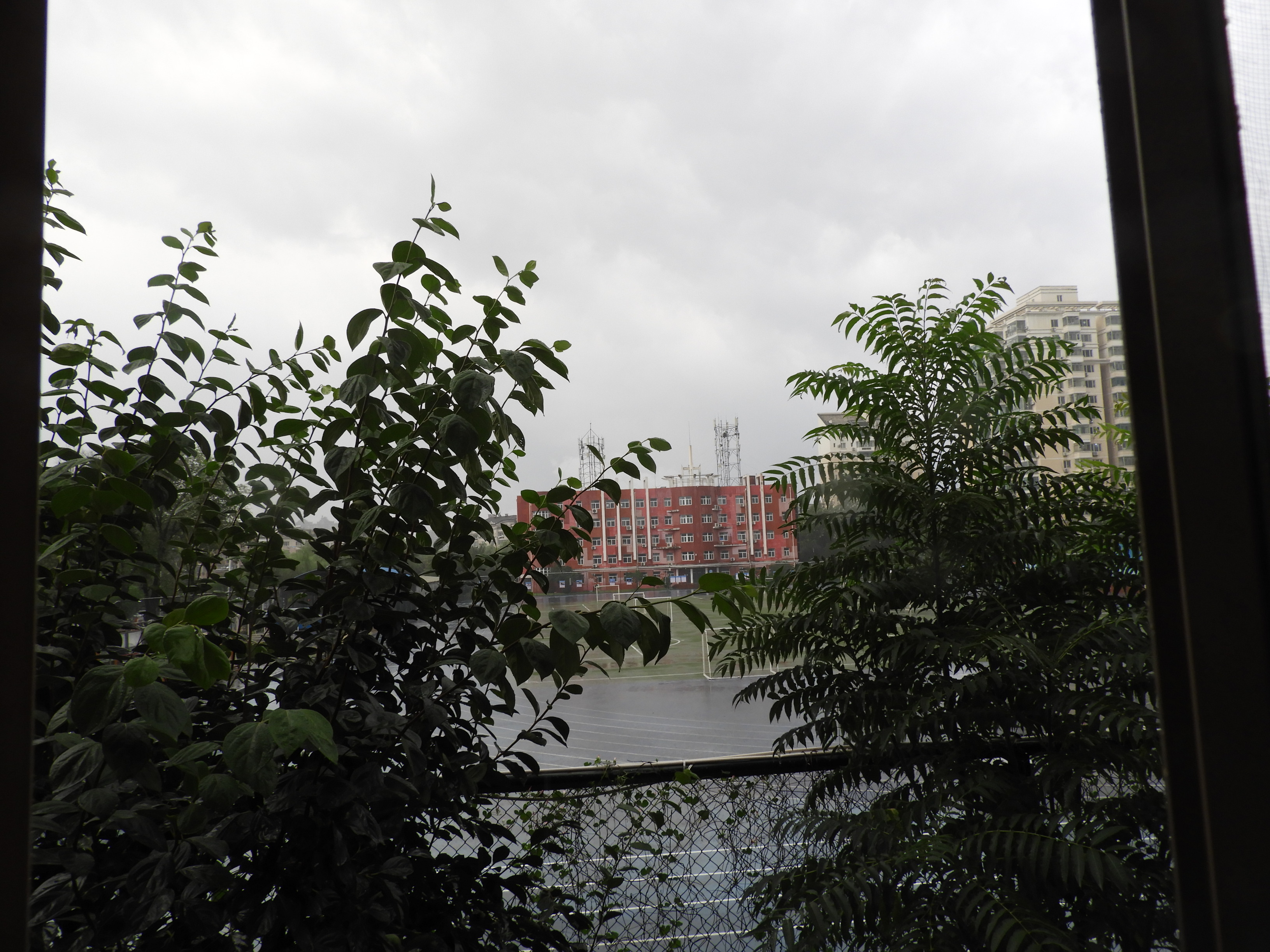 DSCN0167.JPG