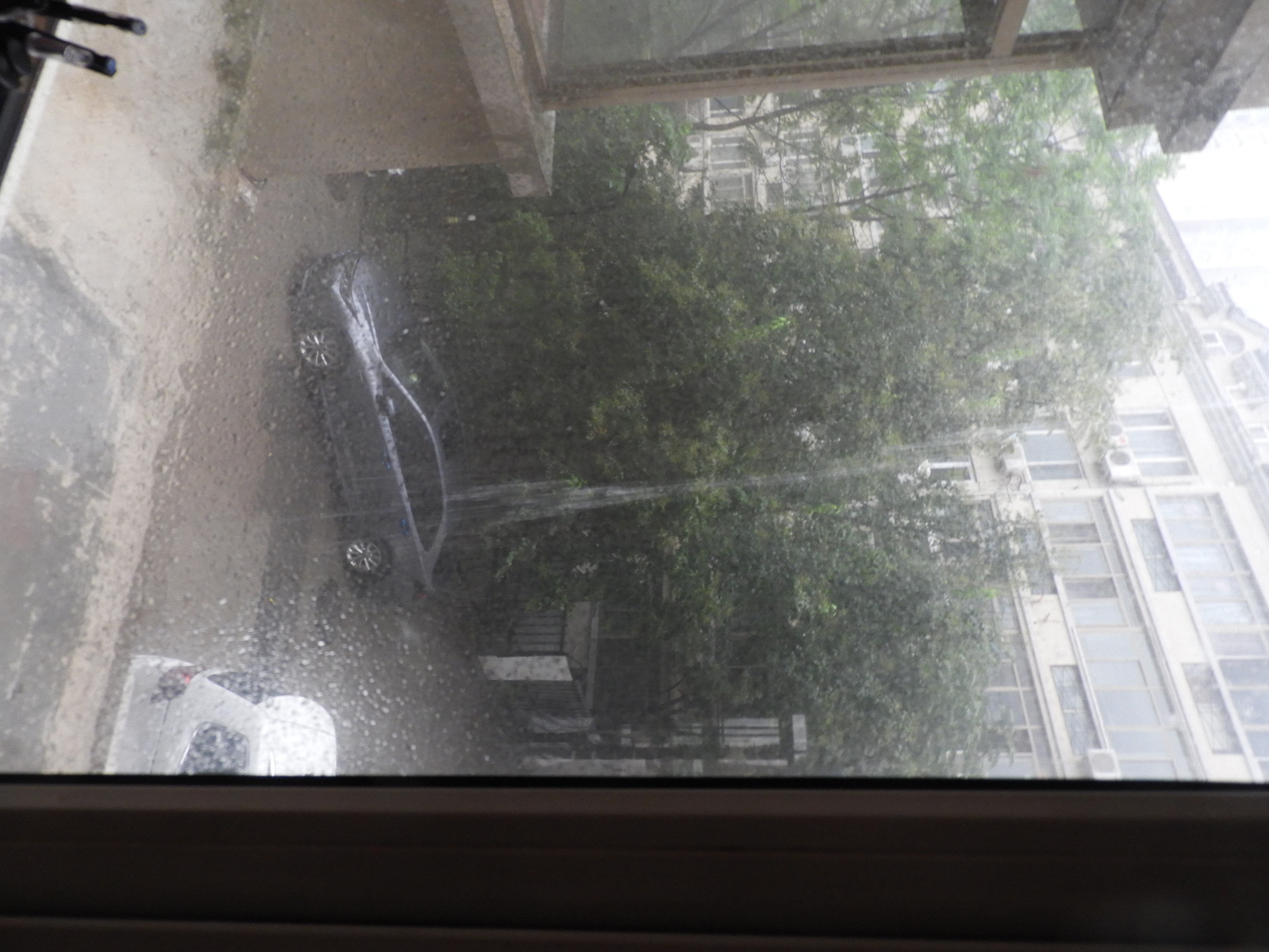 DSCN0165.JPG