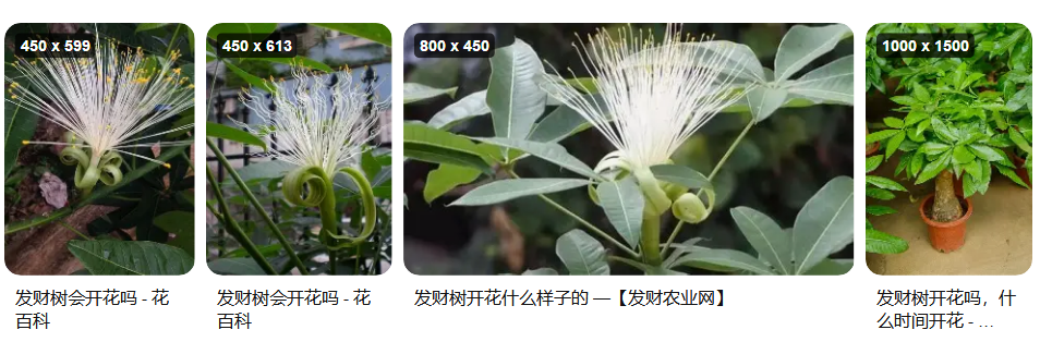 QQ_1755654906838.png